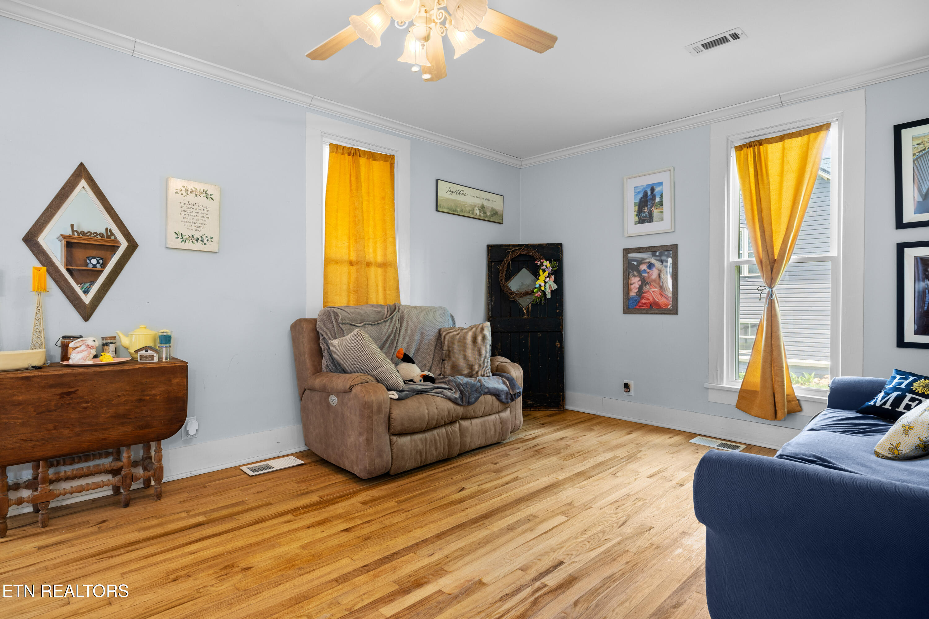 207 Loomis Street Tellico Plains TN 37385