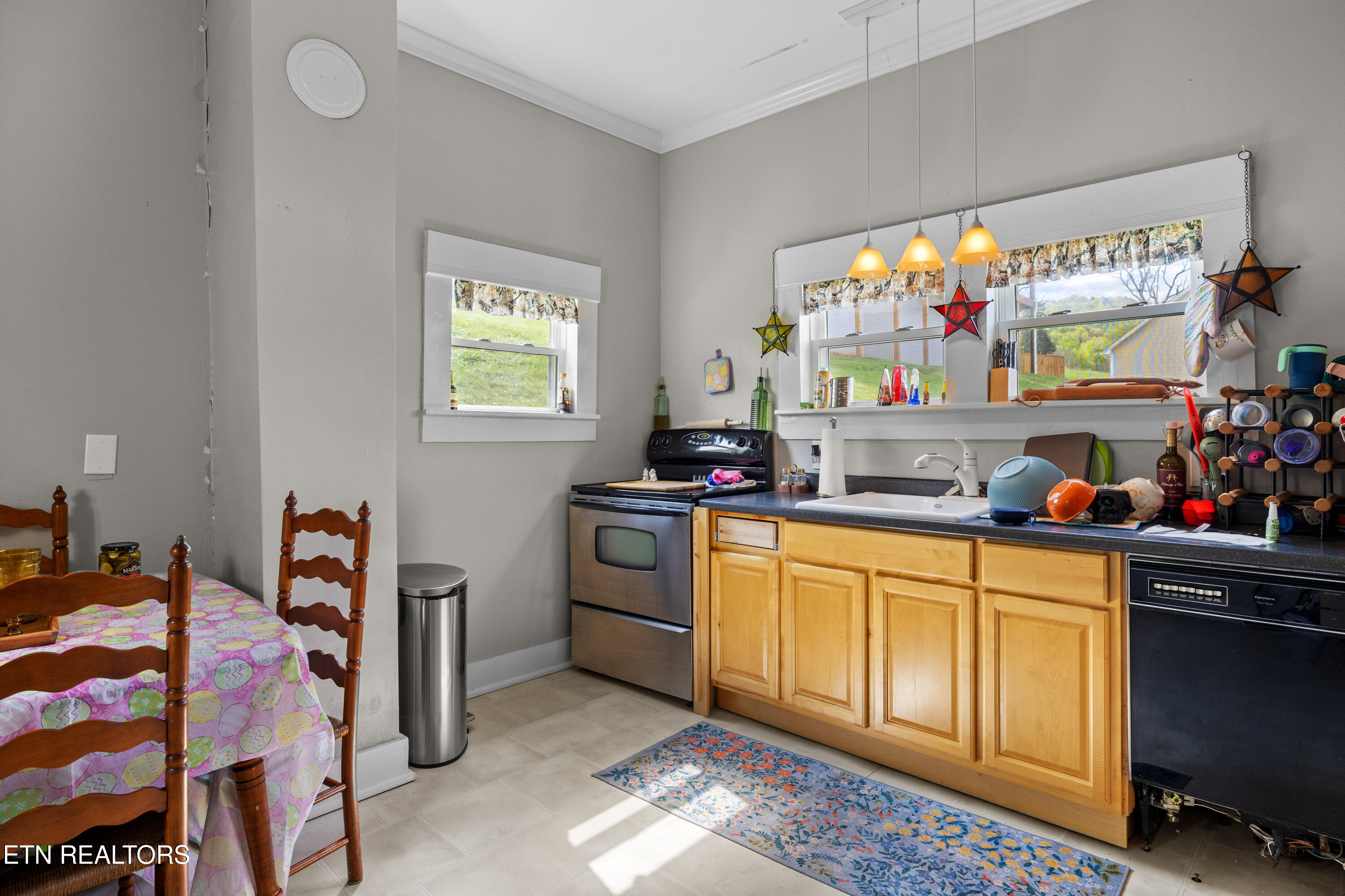 207 Loomis Street Tellico Plains TN 37385