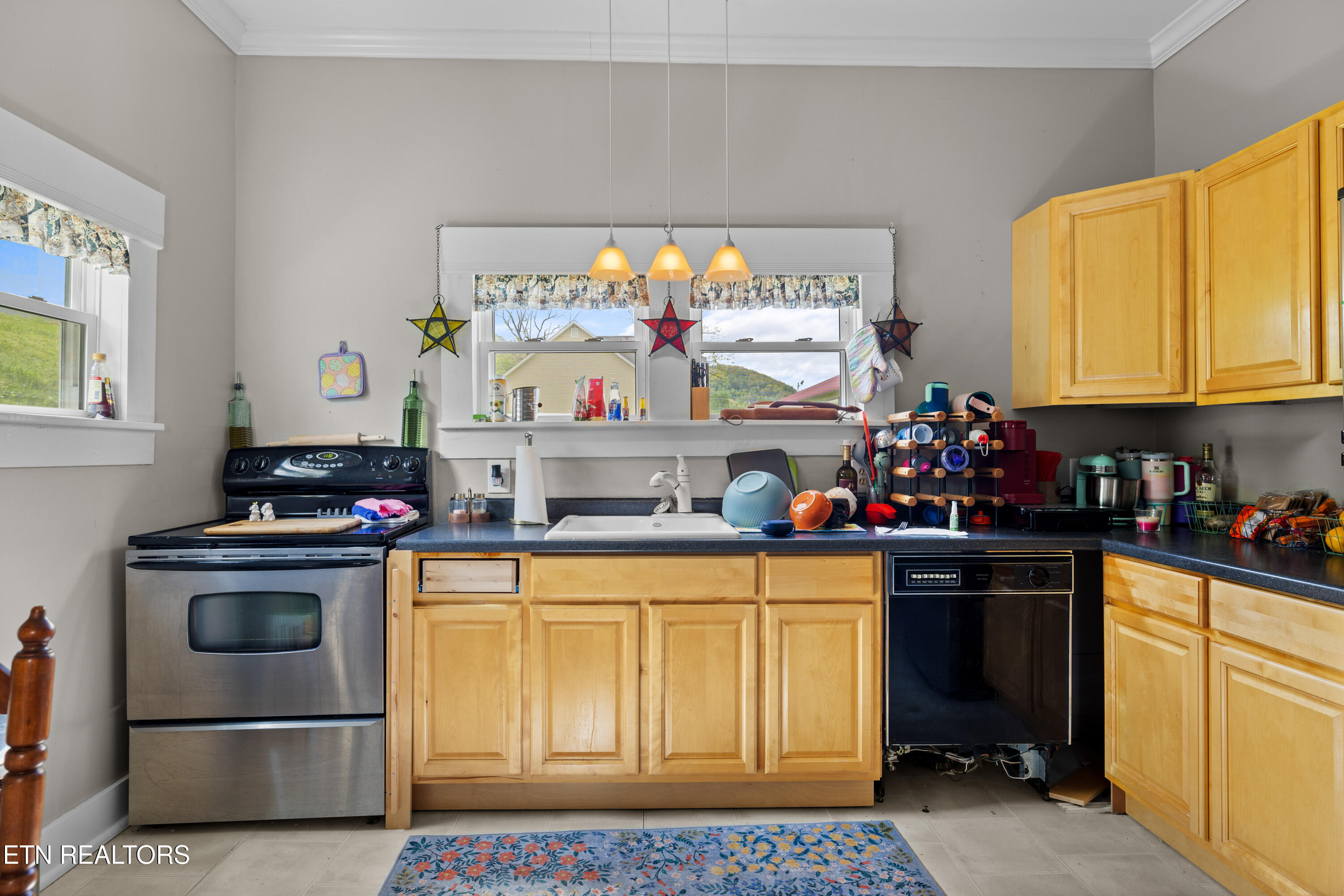 207 Loomis Street Tellico Plains TN 37385