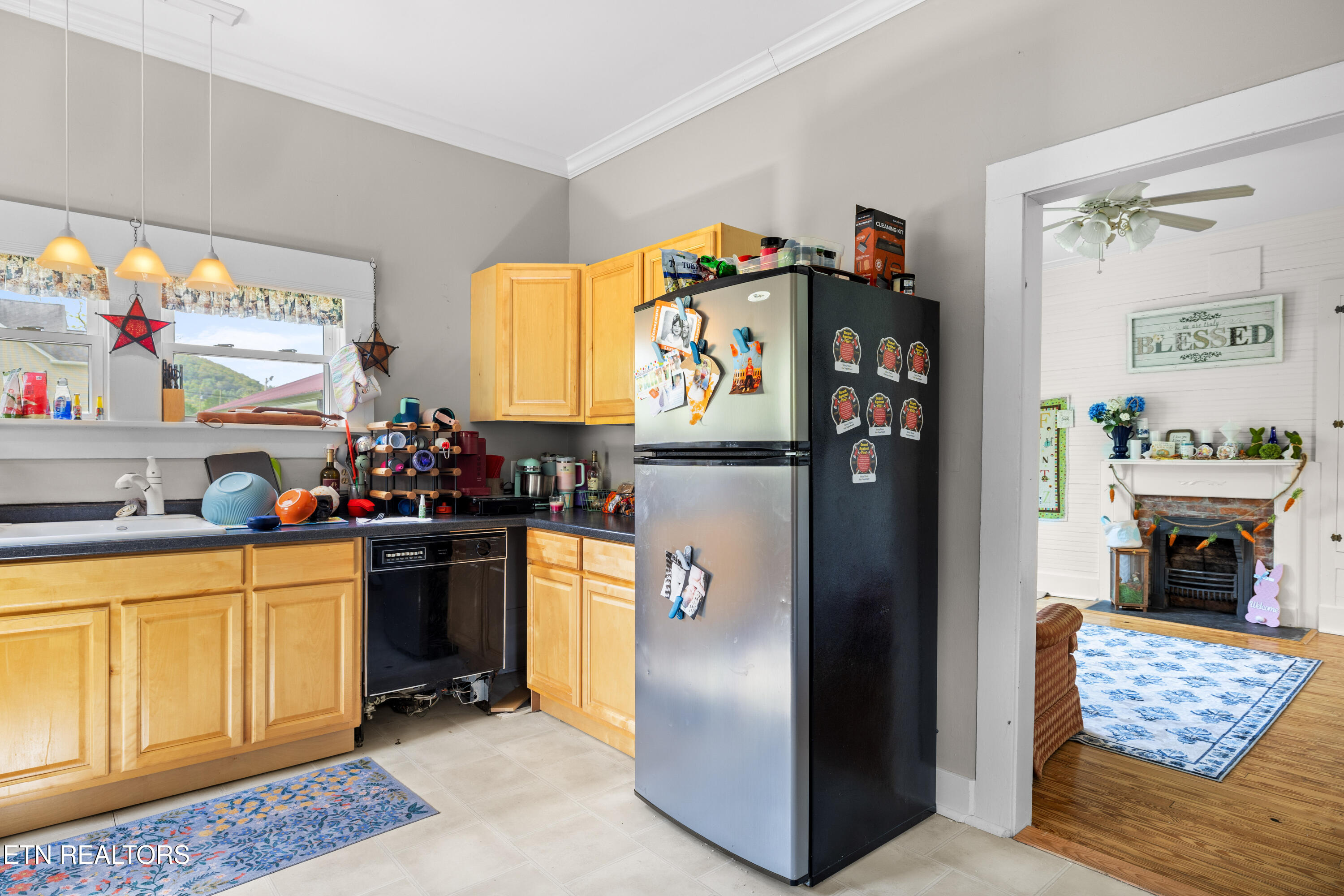 207 Loomis Street Tellico Plains TN 37385