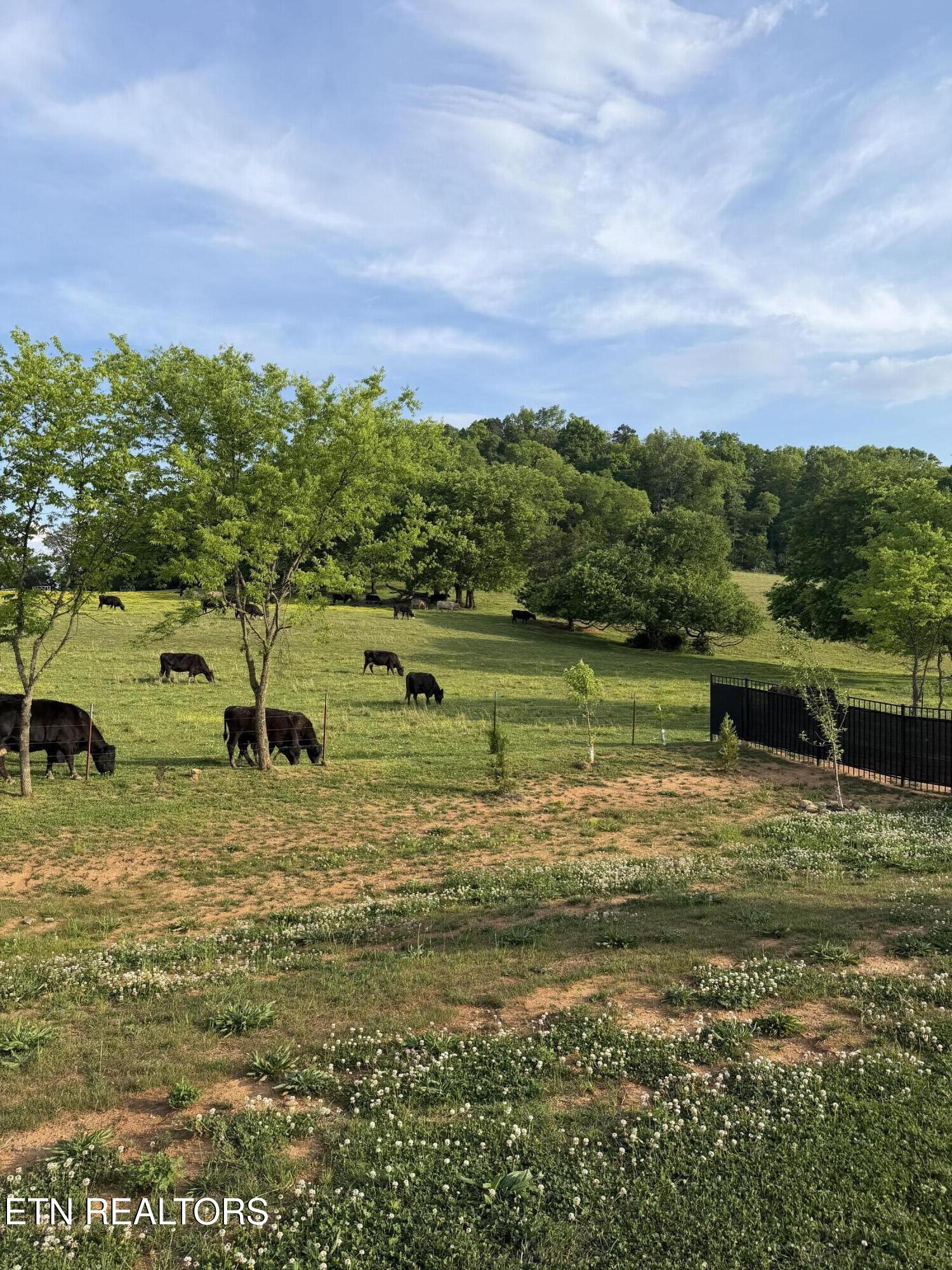 2462 Tributary Drive Sevierville TN 37876