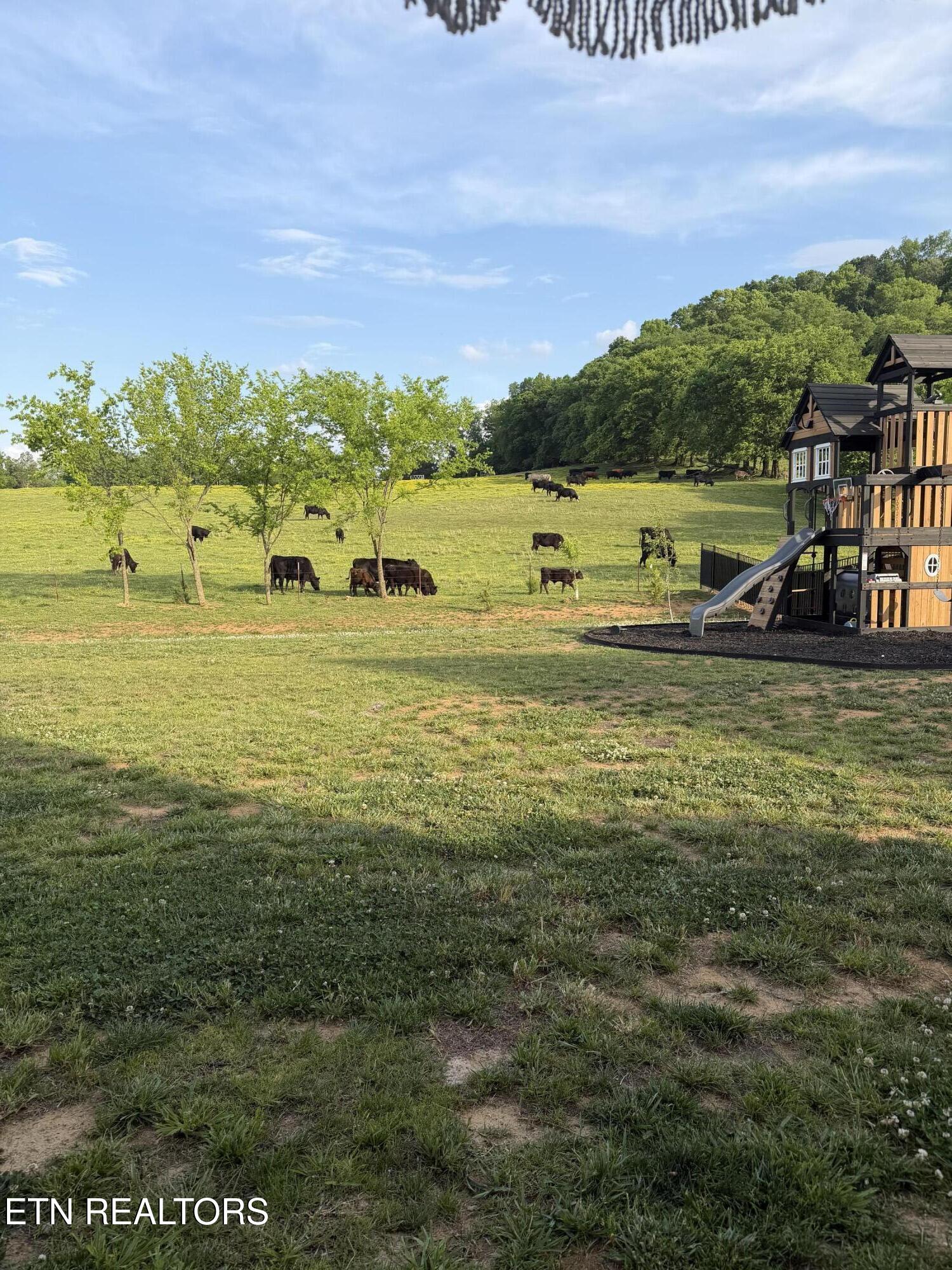 2462 Tributary Drive Sevierville TN 37876