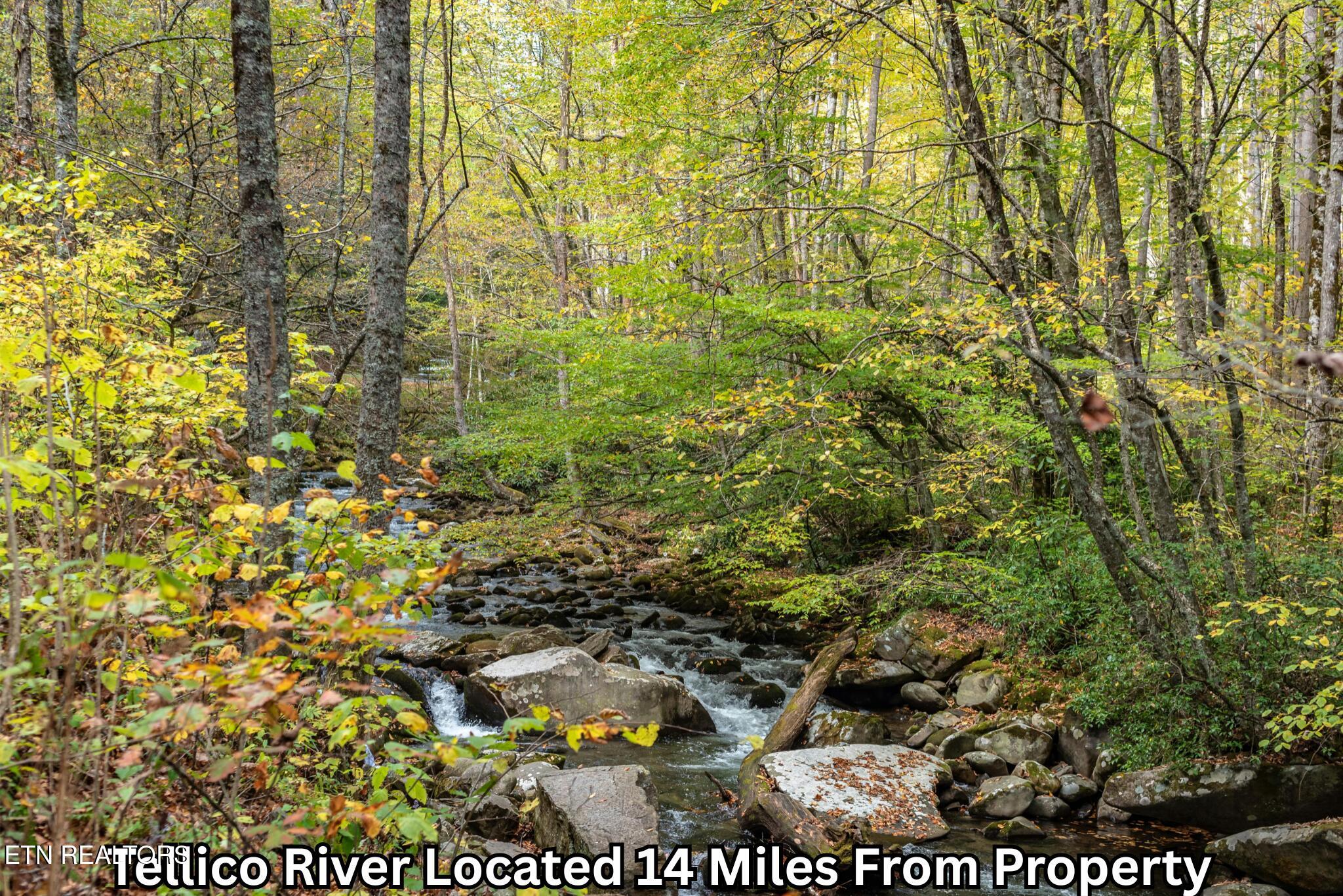 669 Pond Ridge Road Tellico Plains TN 37385