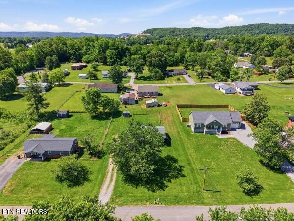 163 Haley Avenue Doyle TN 38559
