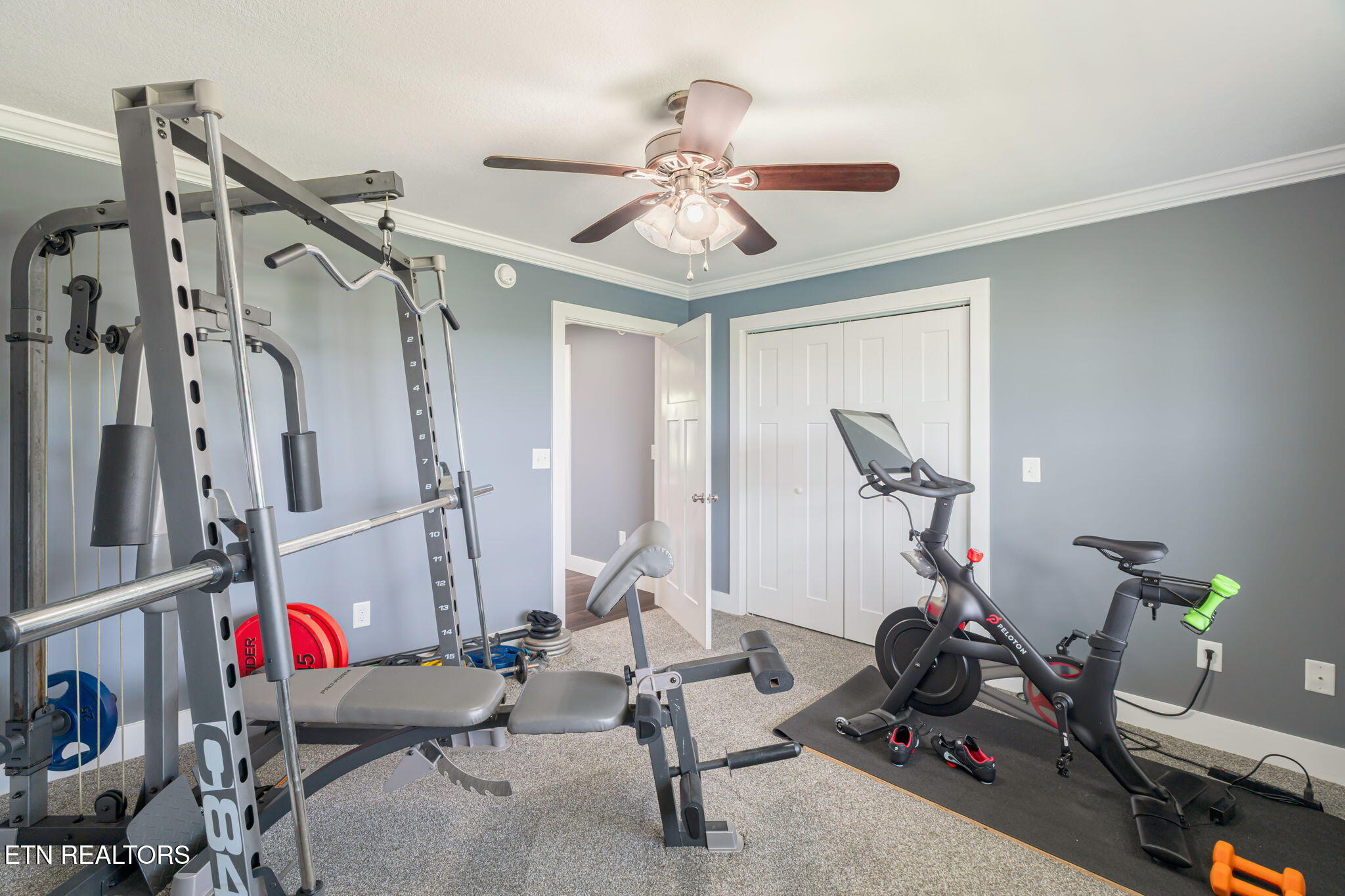 527 Low Valley Road Dandridge TN 37725