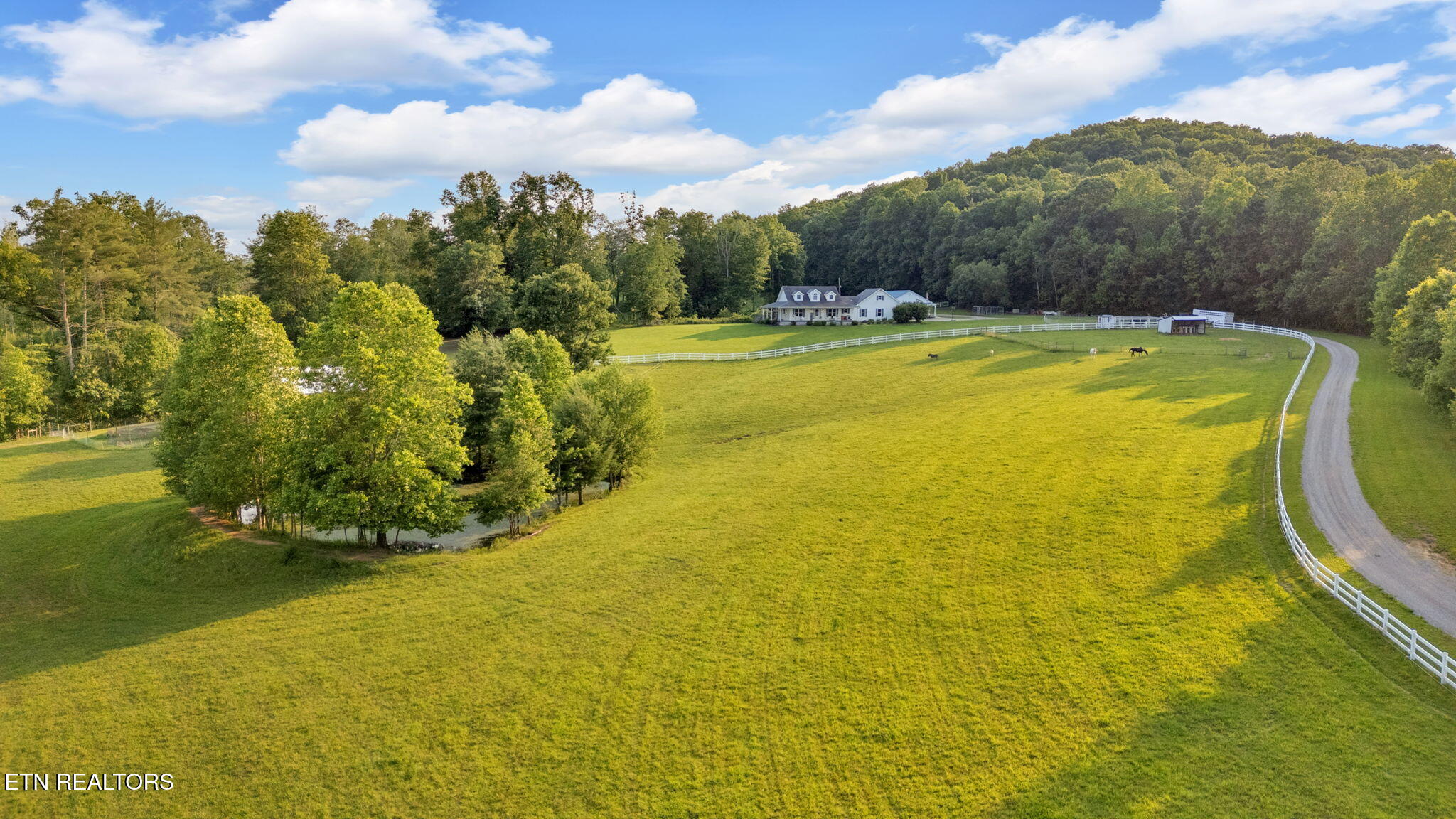596 Clifty Creek Road Oakdale TN 37829