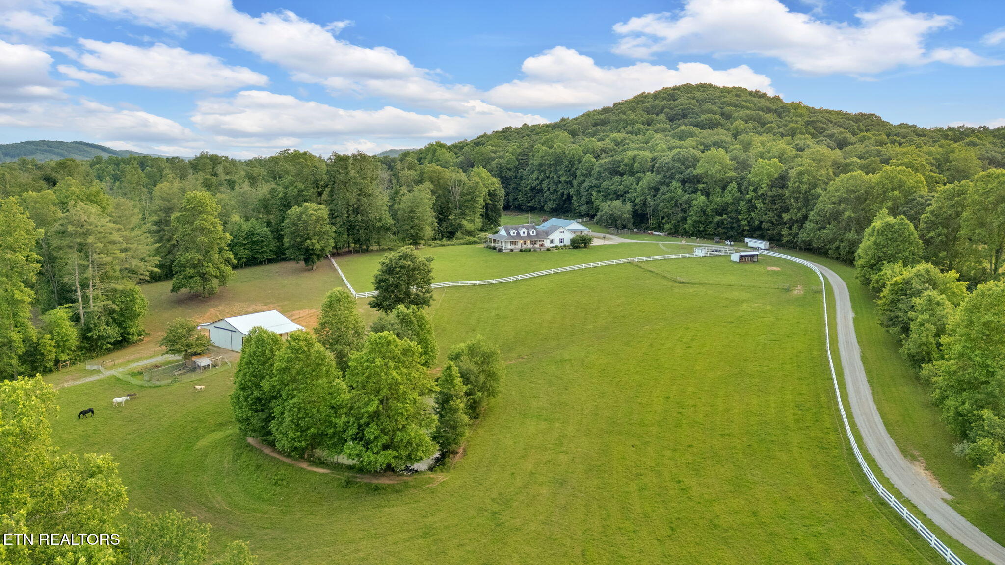 596 Clifty Creek Road Oakdale TN 37829