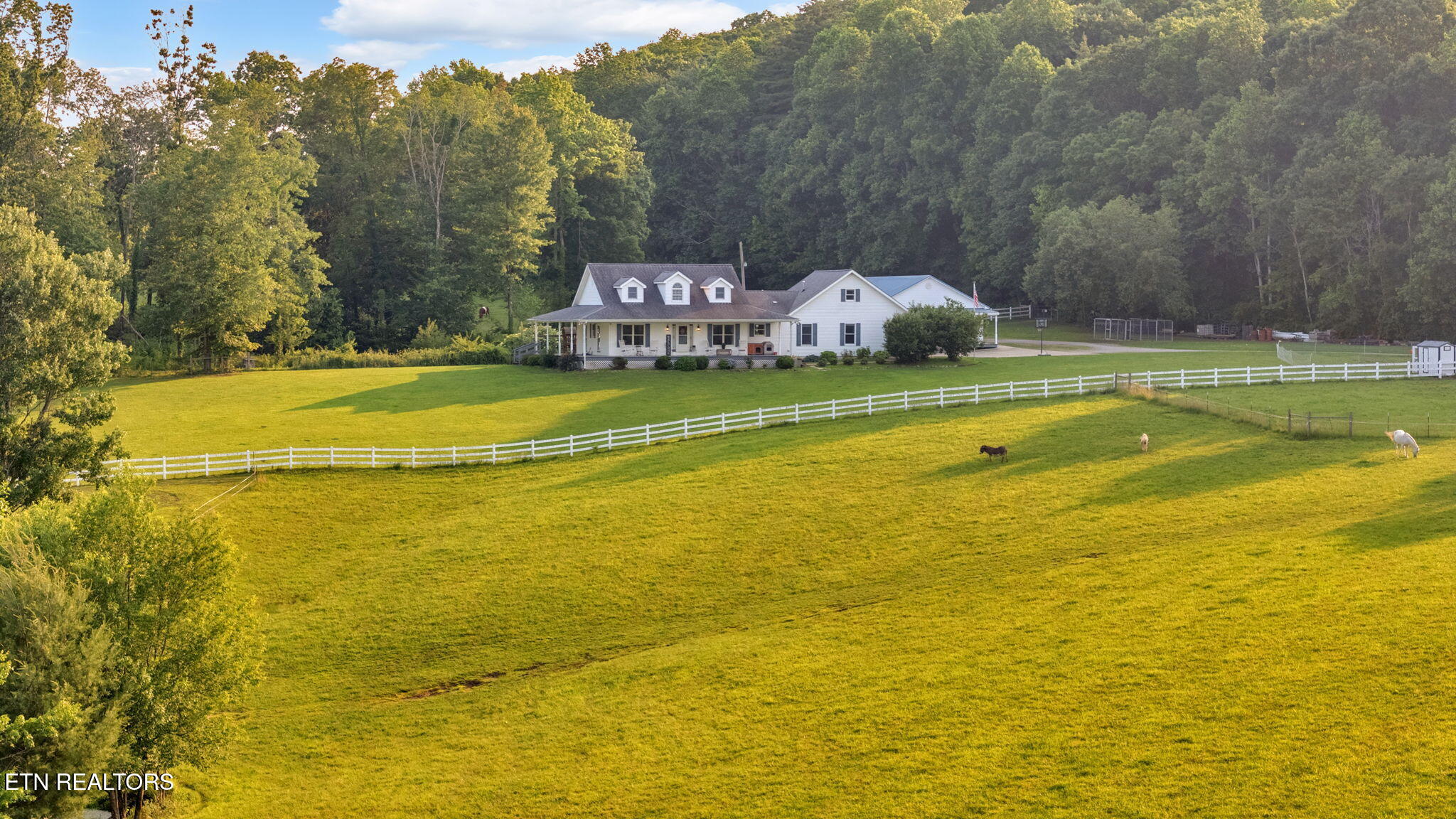 596 Clifty Creek Road Oakdale TN 37829