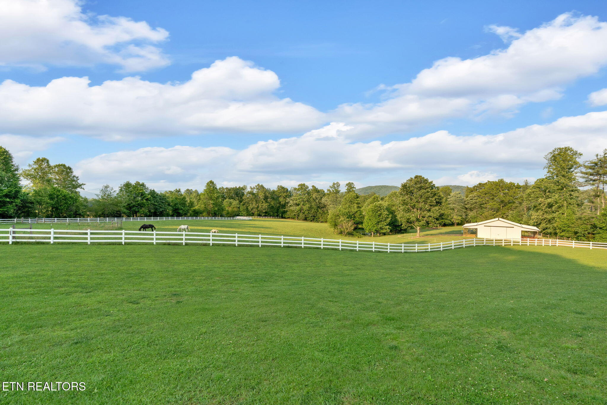596 Clifty Creek Road Oakdale TN 37829