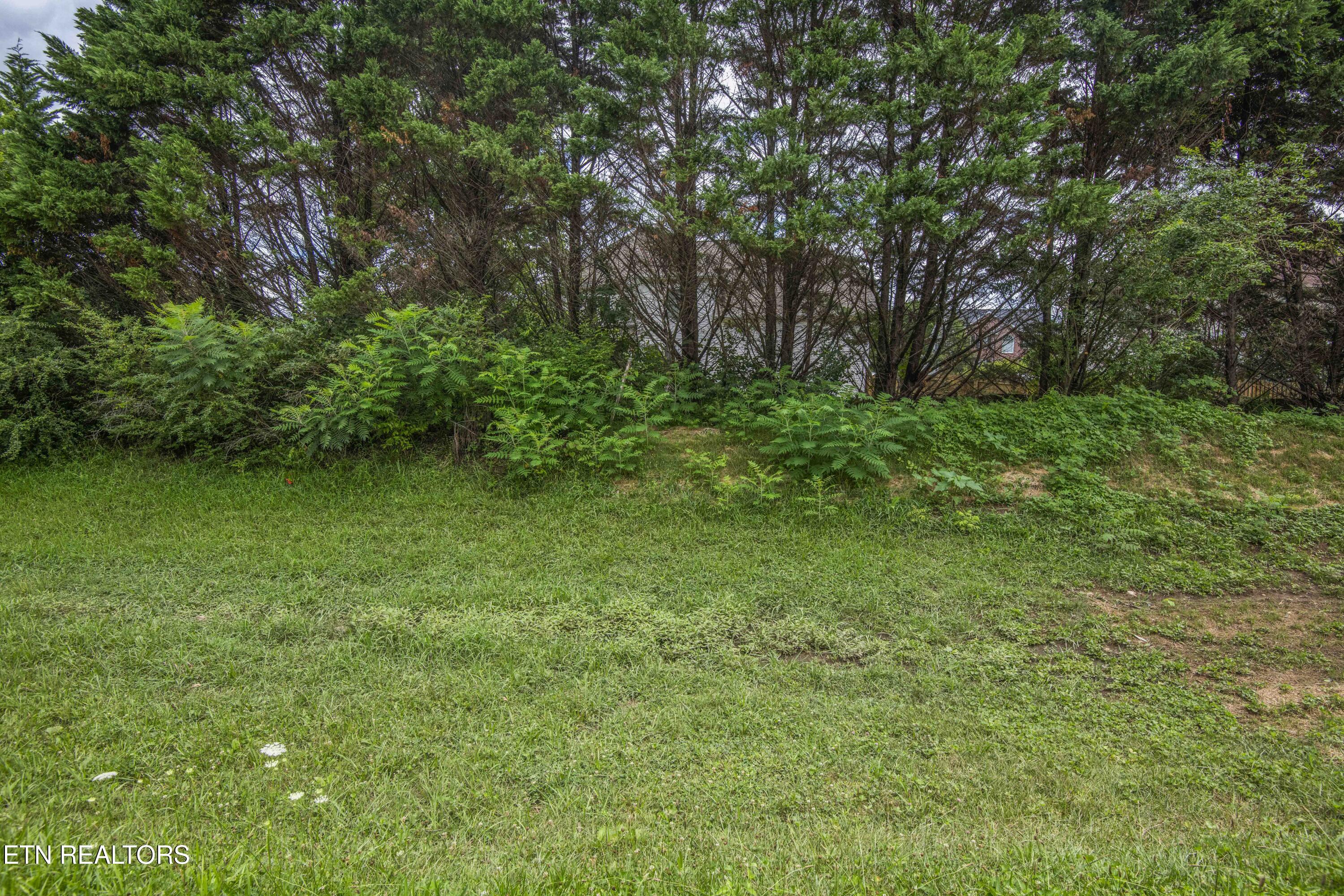 7112 Marlee Park Boulevard Knoxville TN 37921