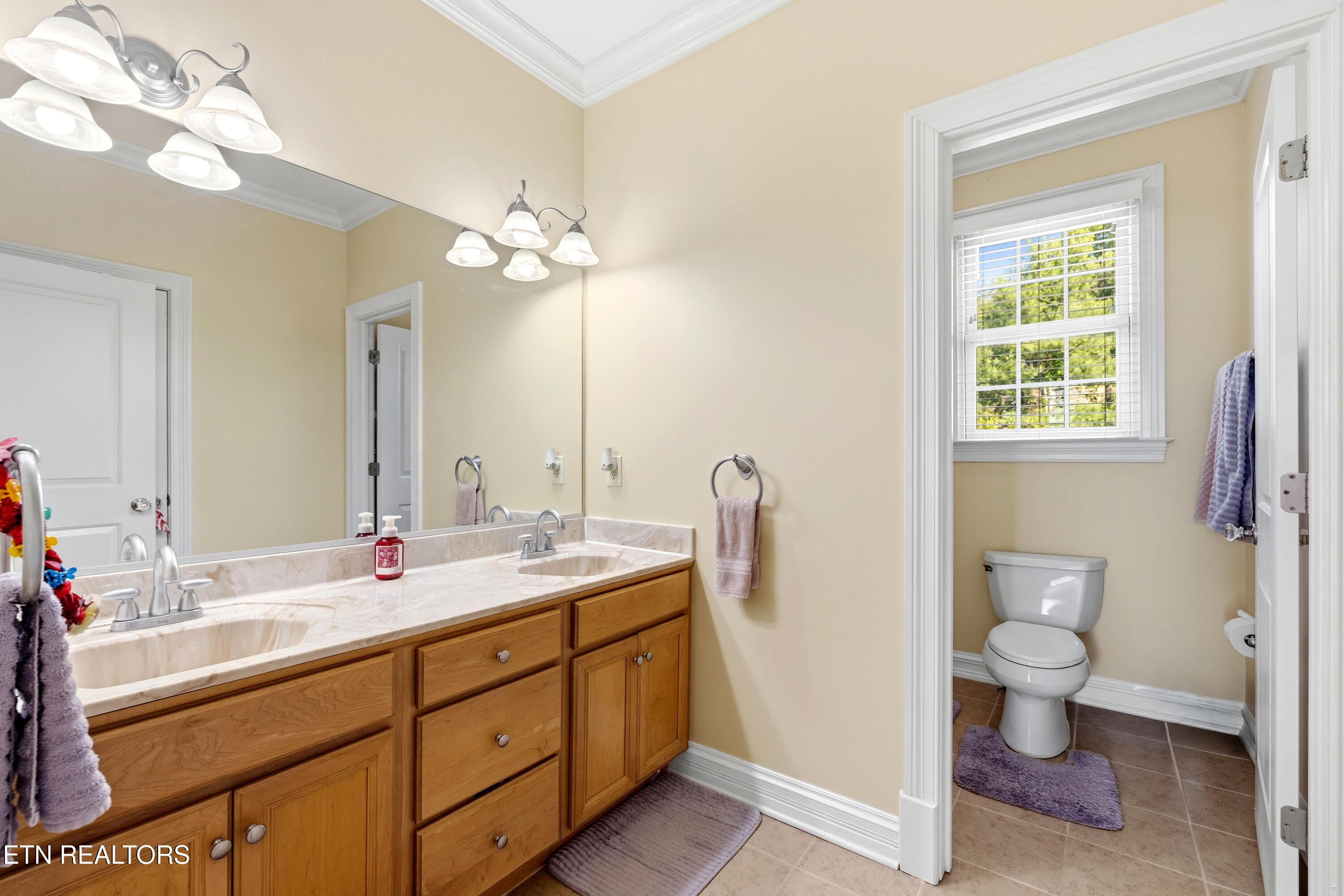 5113 Gouffon Road Knoxville TN 37918
