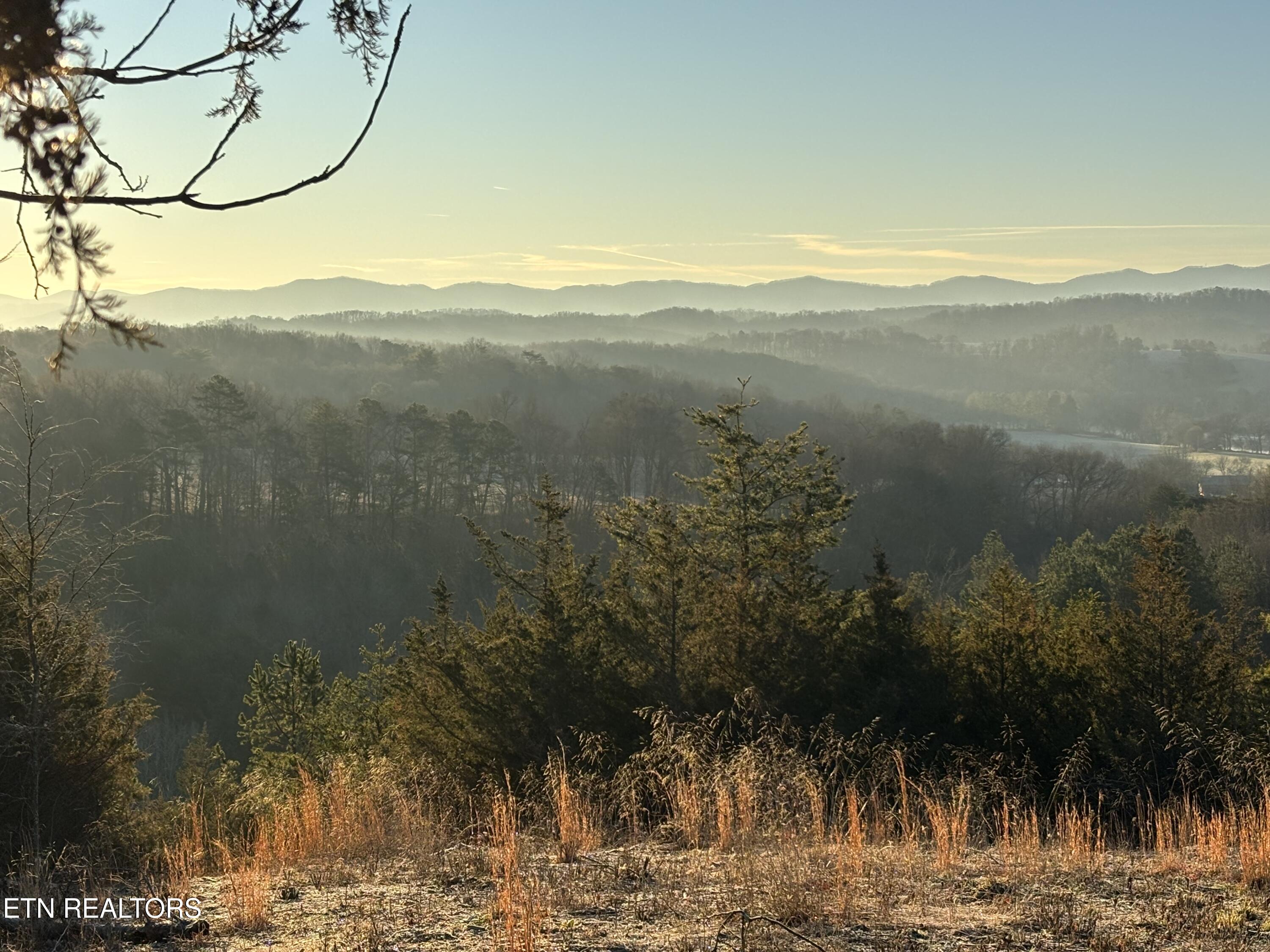 1355 Jackson Hollow Road Mosheim TN 37818