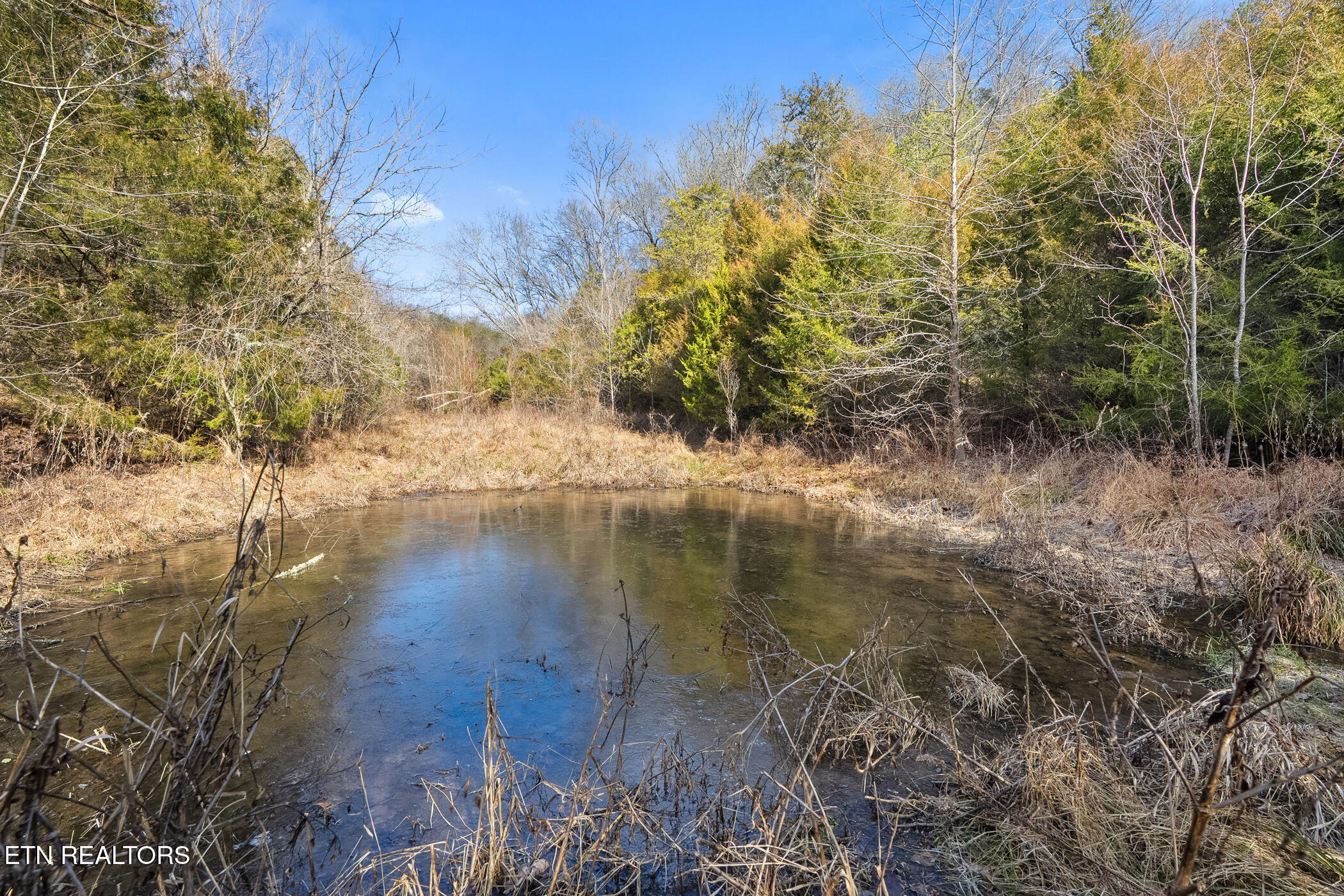 1355 Jackson Hollow Road Mosheim TN 37818