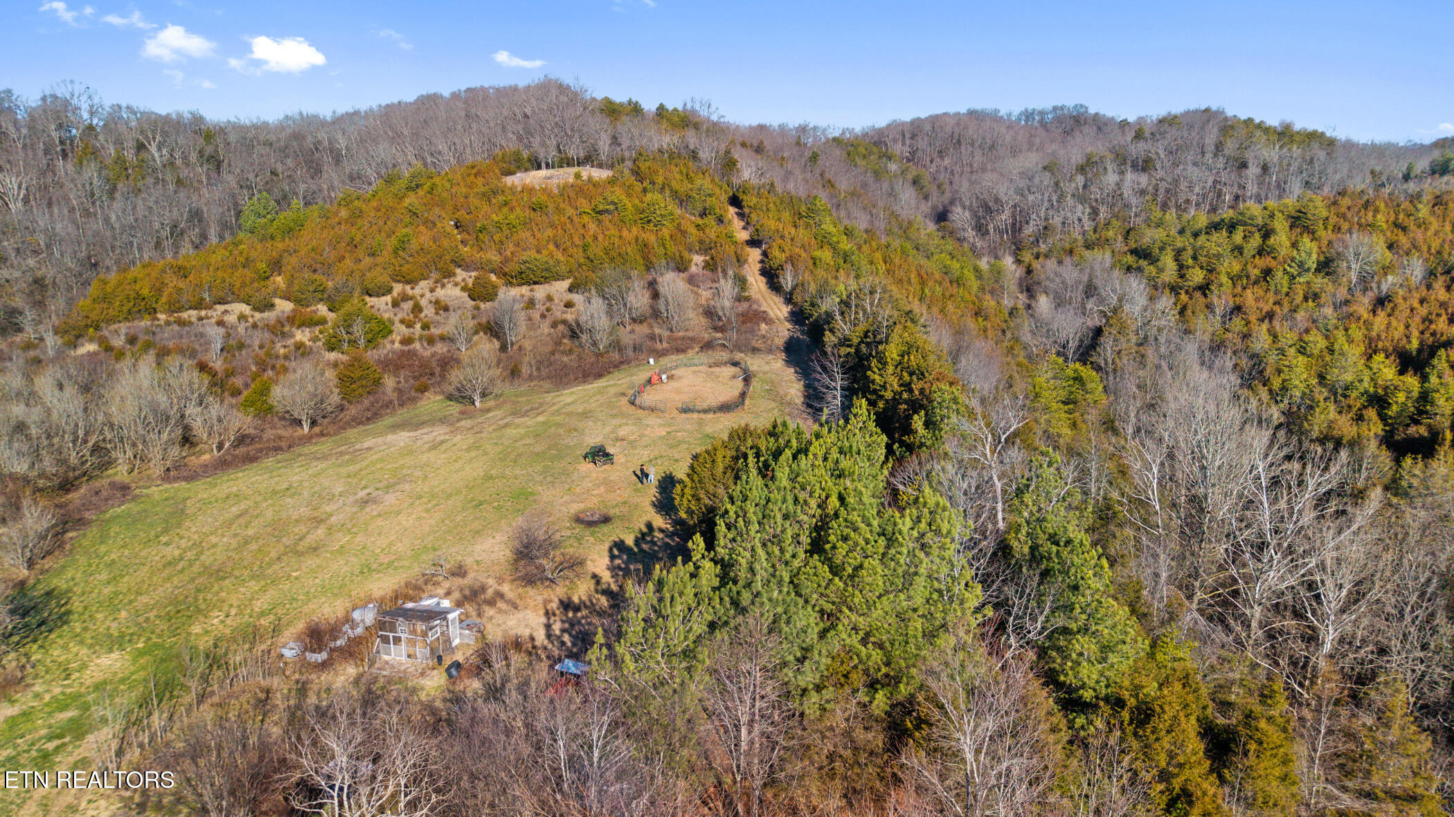 1355 Jackson Hollow Road Mosheim TN 37818