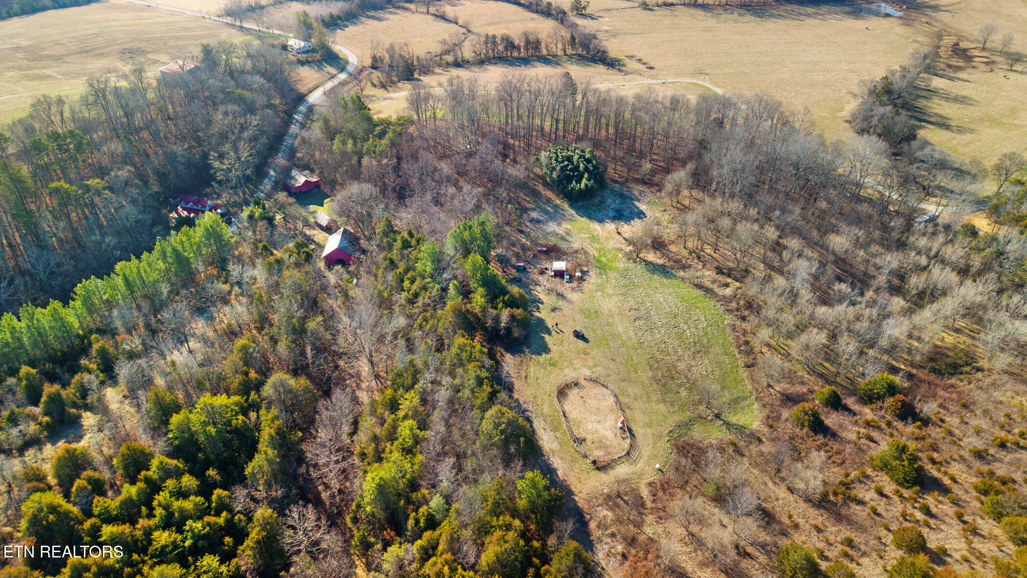 1355 Jackson Hollow Road Mosheim TN 37818