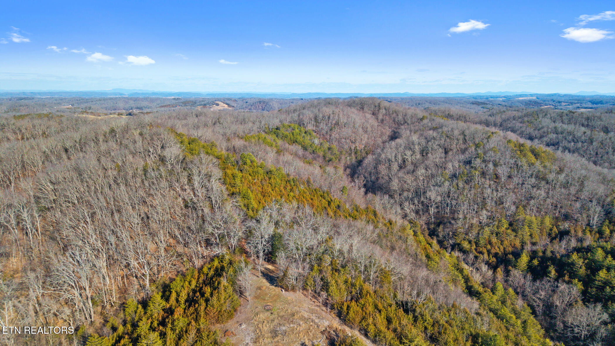 1355 Jackson Hollow Road Mosheim TN 37818