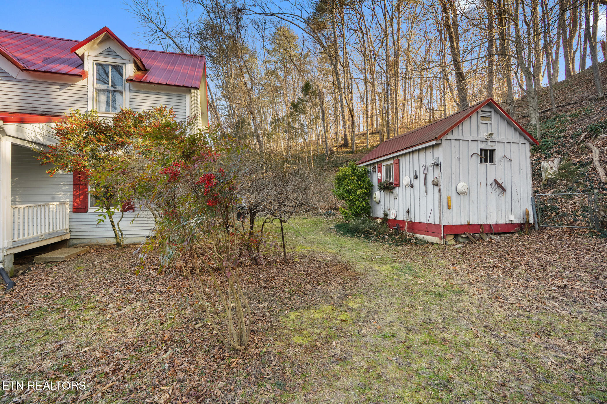 1355 Jackson Hollow Road Mosheim TN 37818