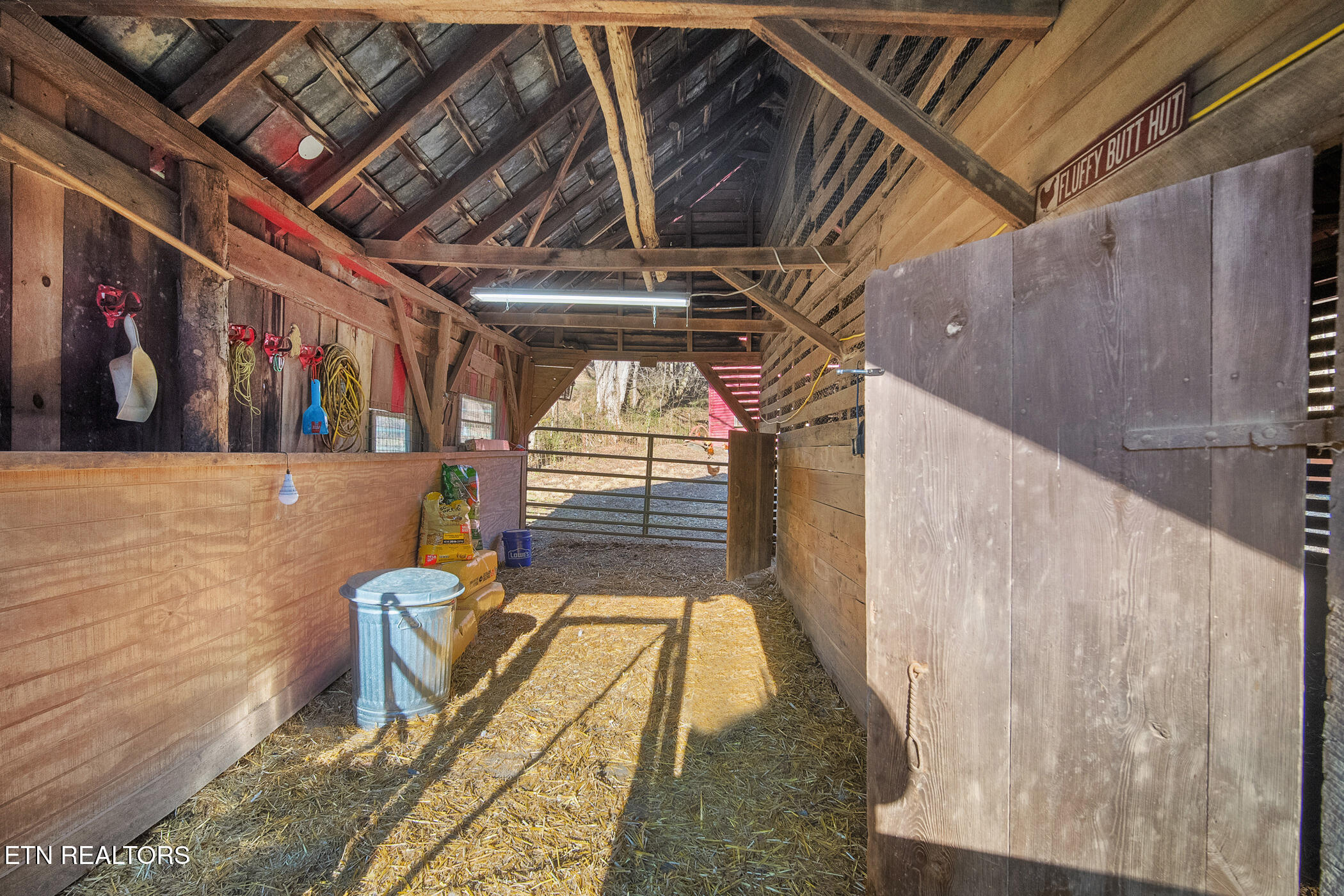 1355 Jackson Hollow Road Mosheim TN 37818