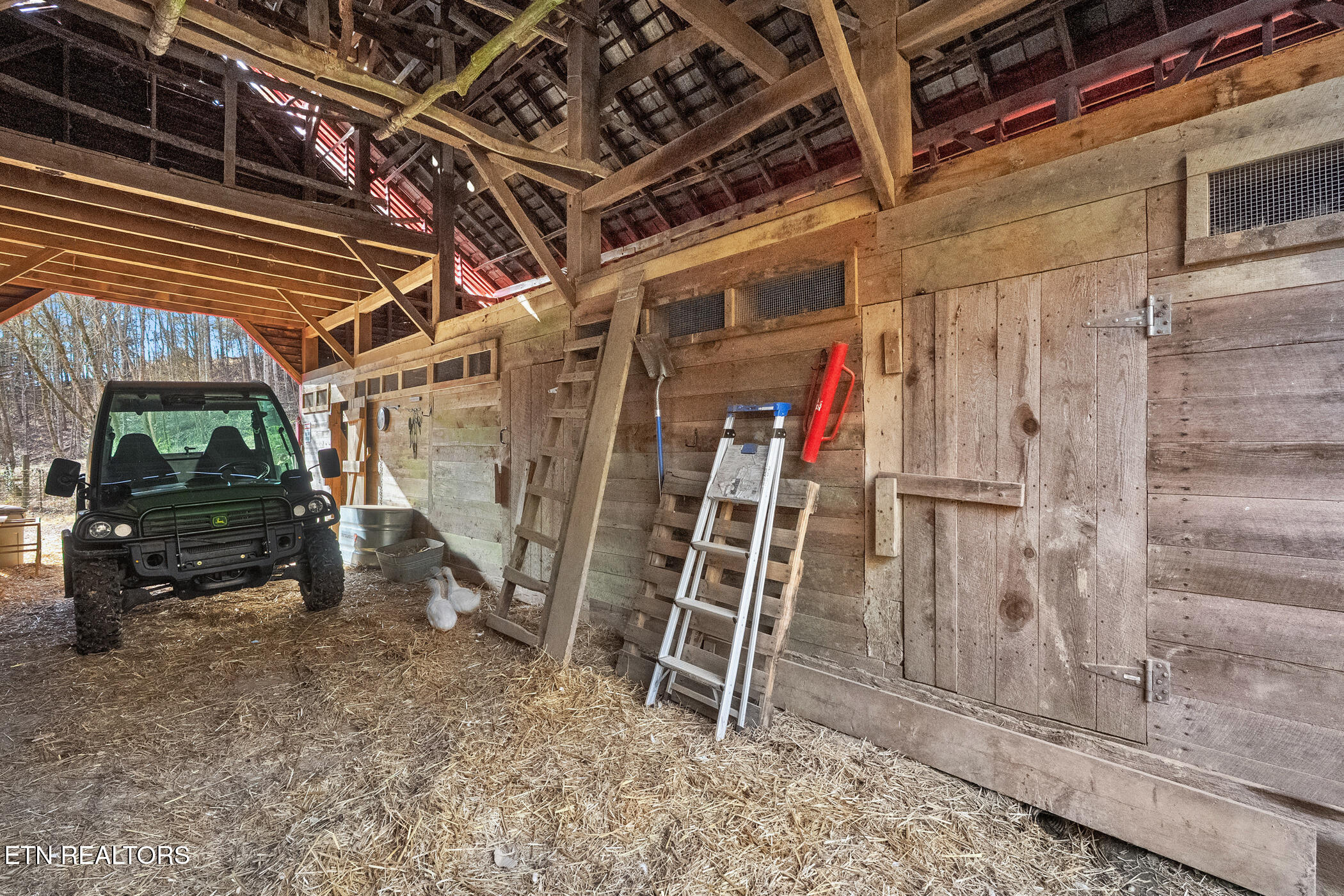 1355 Jackson Hollow Road Mosheim TN 37818