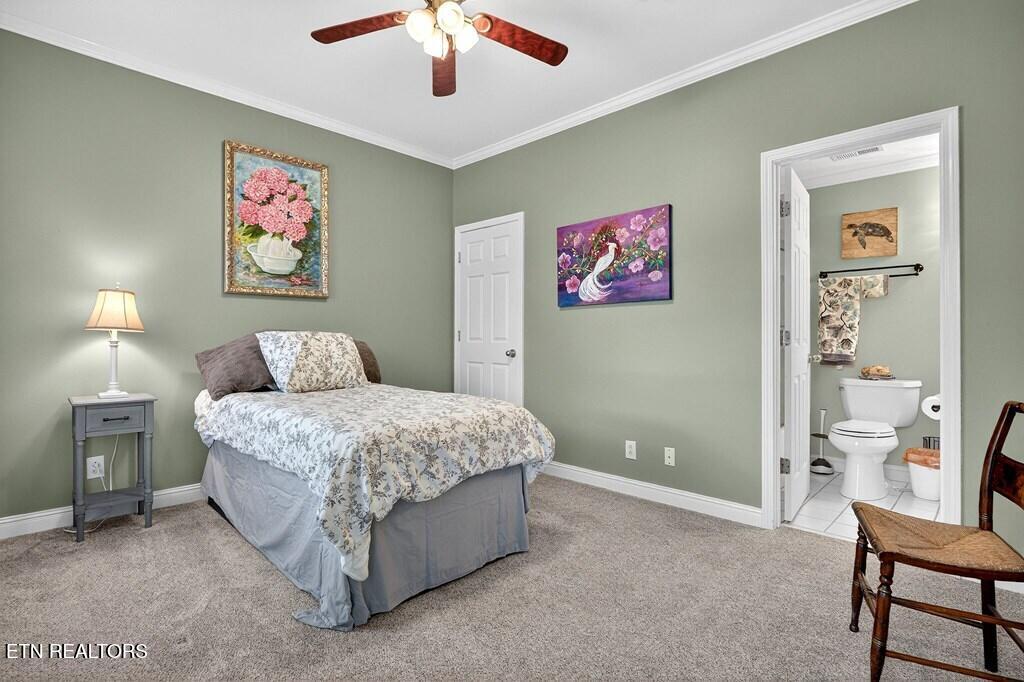1064 Sugarhill Place Cookeville TN 38501