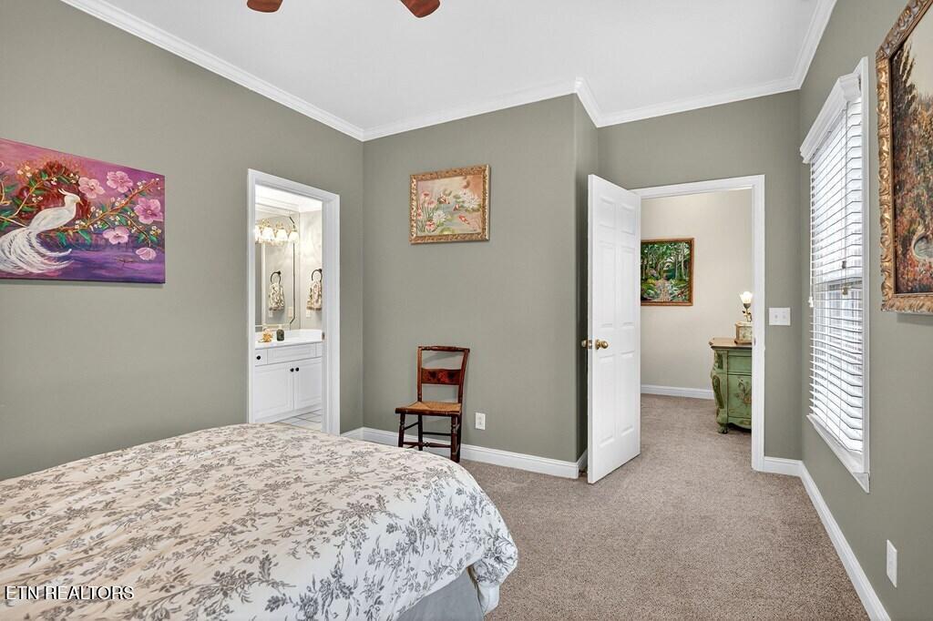 1064 Sugarhill Place Cookeville TN 38501