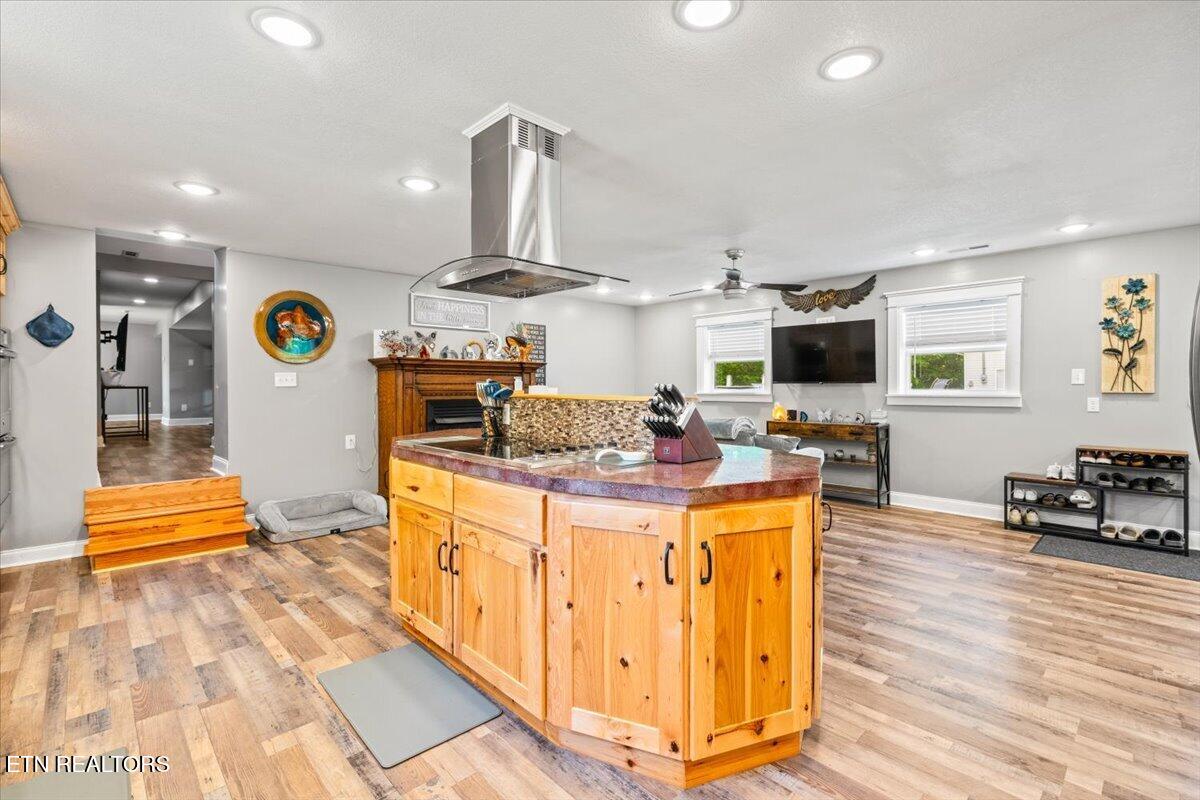 161 Mountain View Drive Rocky Top TN 37769