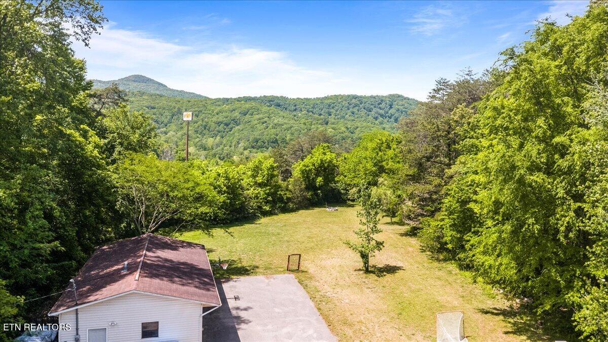 161 Mountain View Drive Rocky Top TN 37769