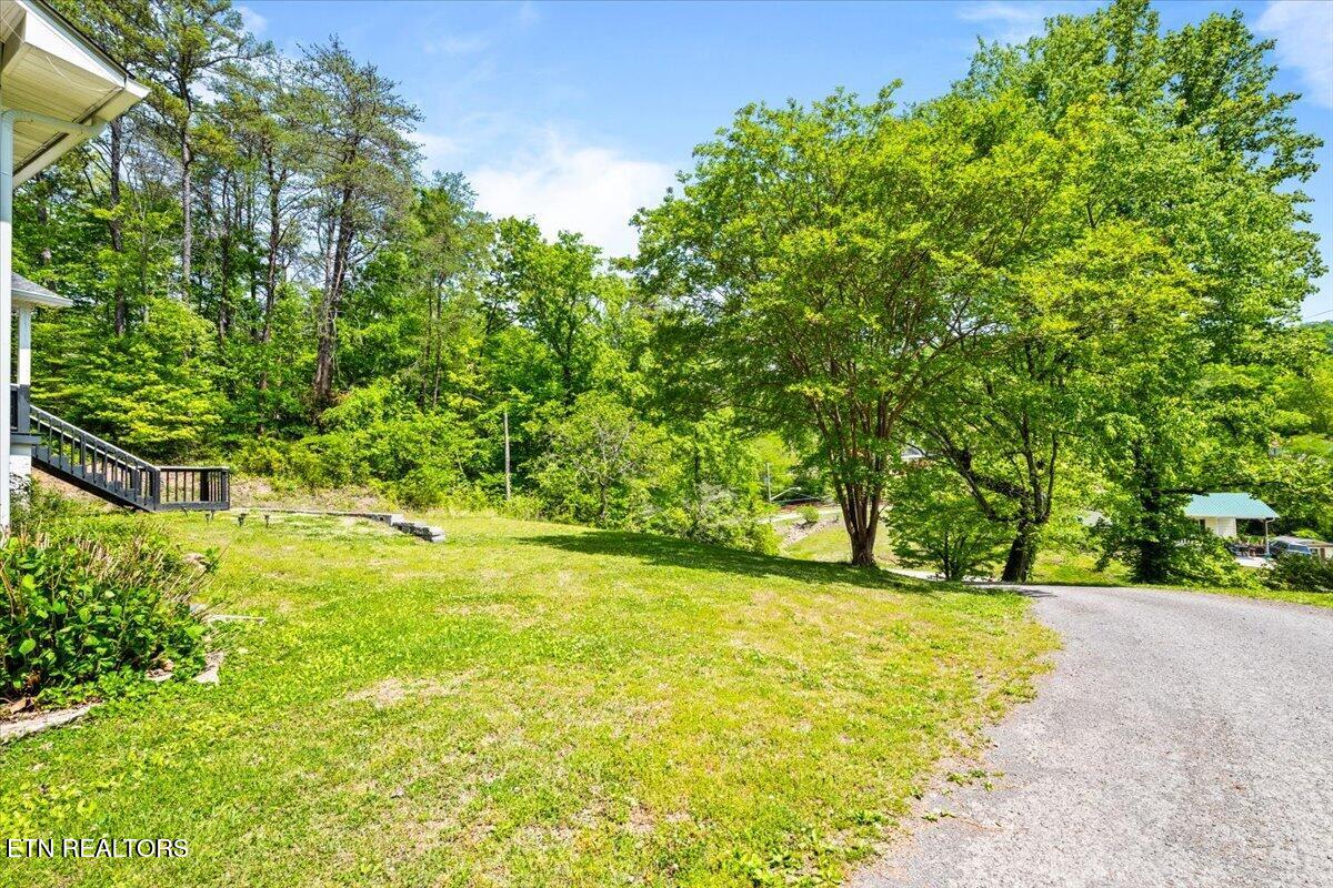 161 Mountain View Drive Rocky Top TN 37769
