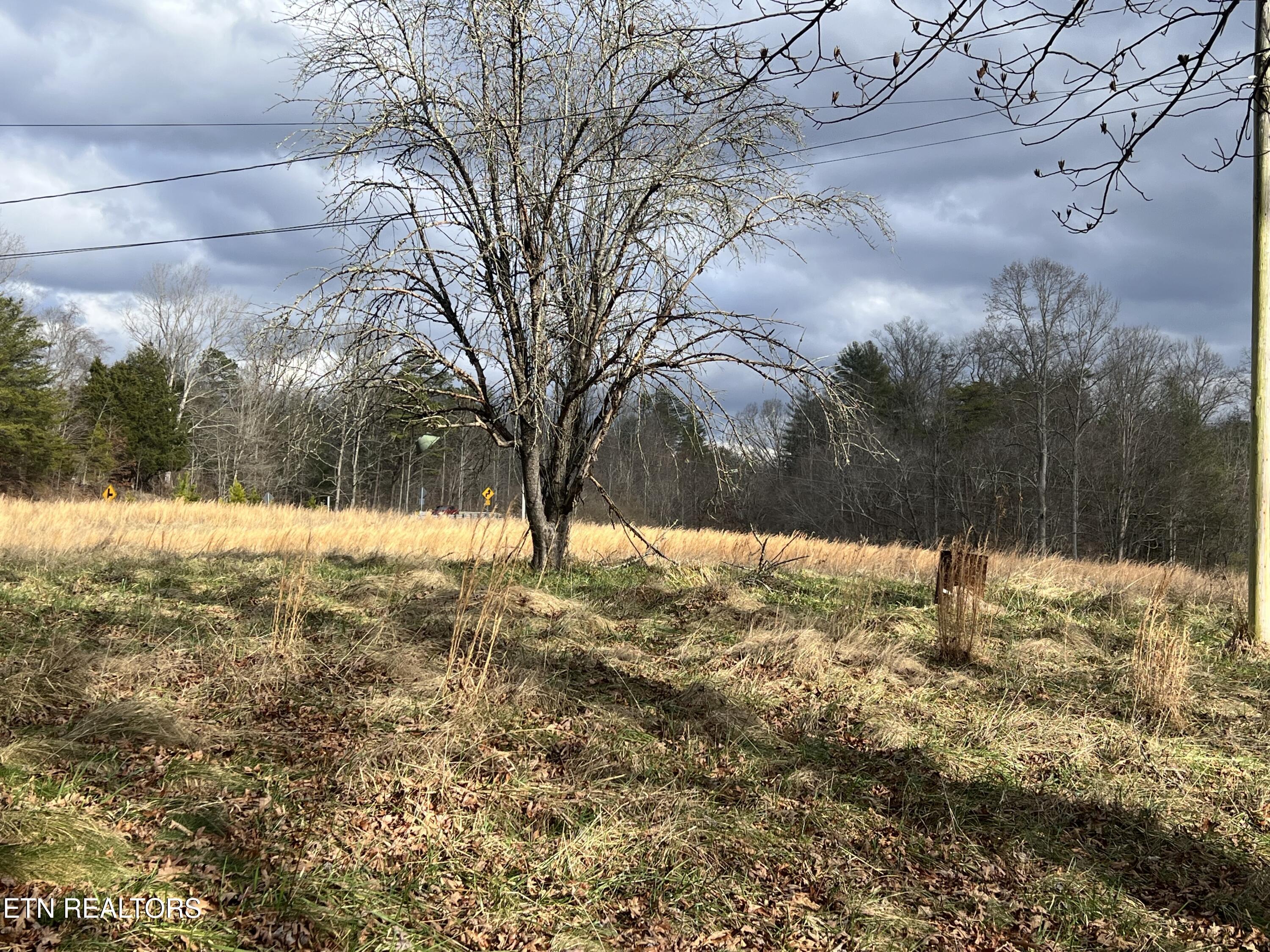 1600 Paint Rock Road Oneida TN 37841