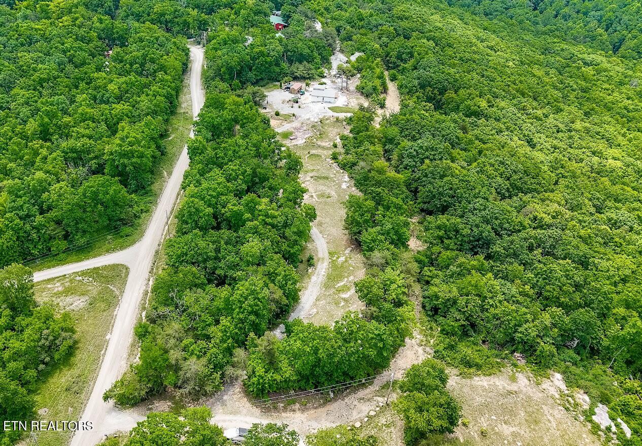 1407 Holloway Ridge Road Spring City TN 37381