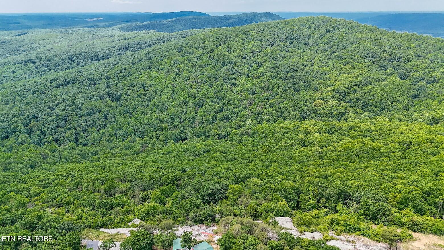 1407 Holloway Ridge Road Spring City TN 37381