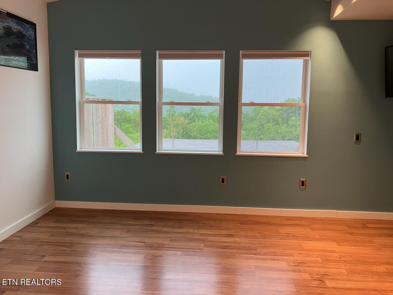 1407 Holloway Ridge Road Spring City TN 37381
