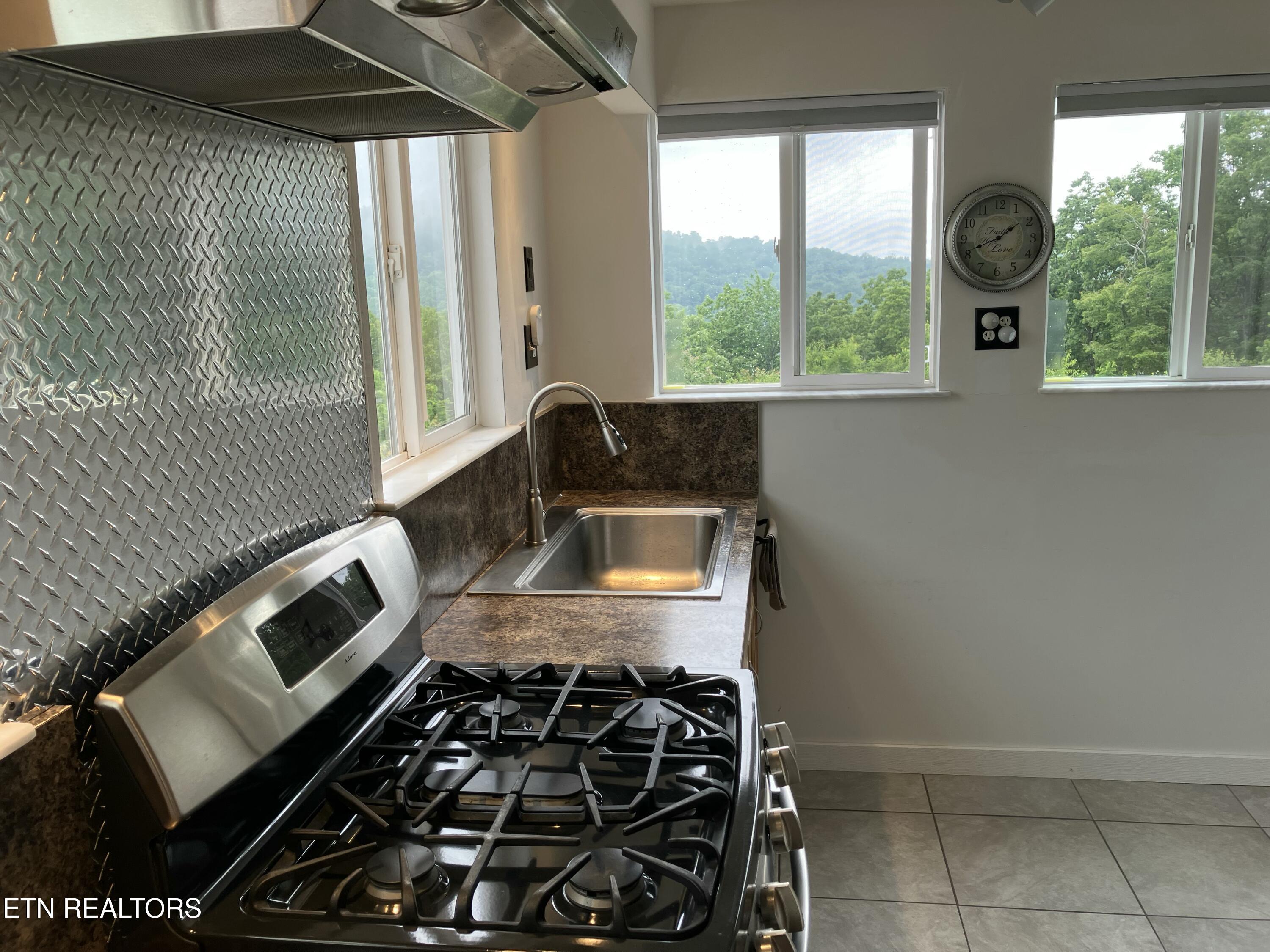 1407 Holloway Ridge Road Spring City TN 37381