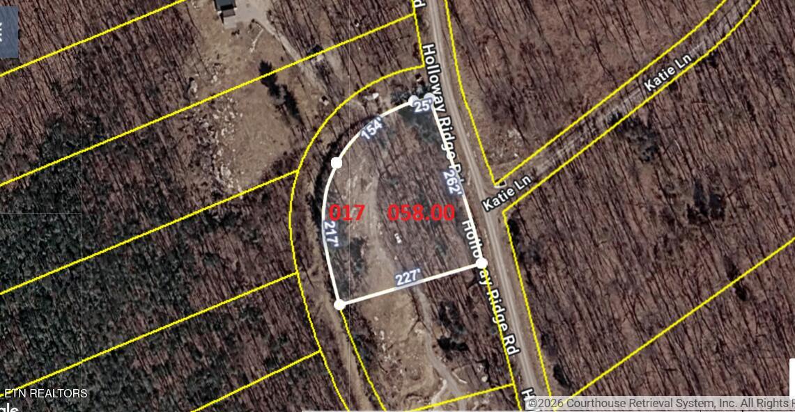 1407 Holloway Ridge Road Spring City TN 37381