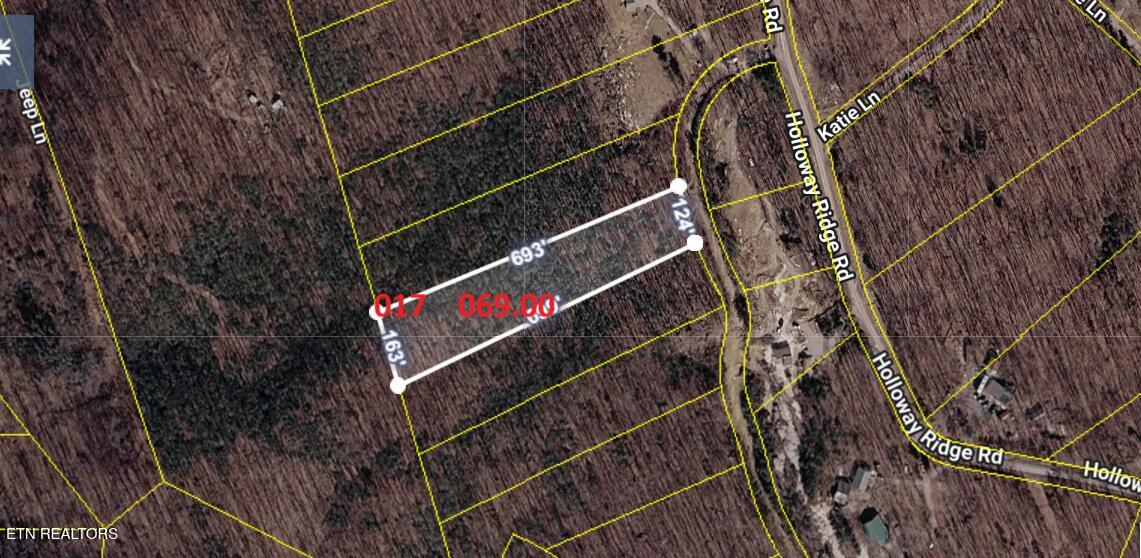 1407 Holloway Ridge Road Spring City TN 37381
