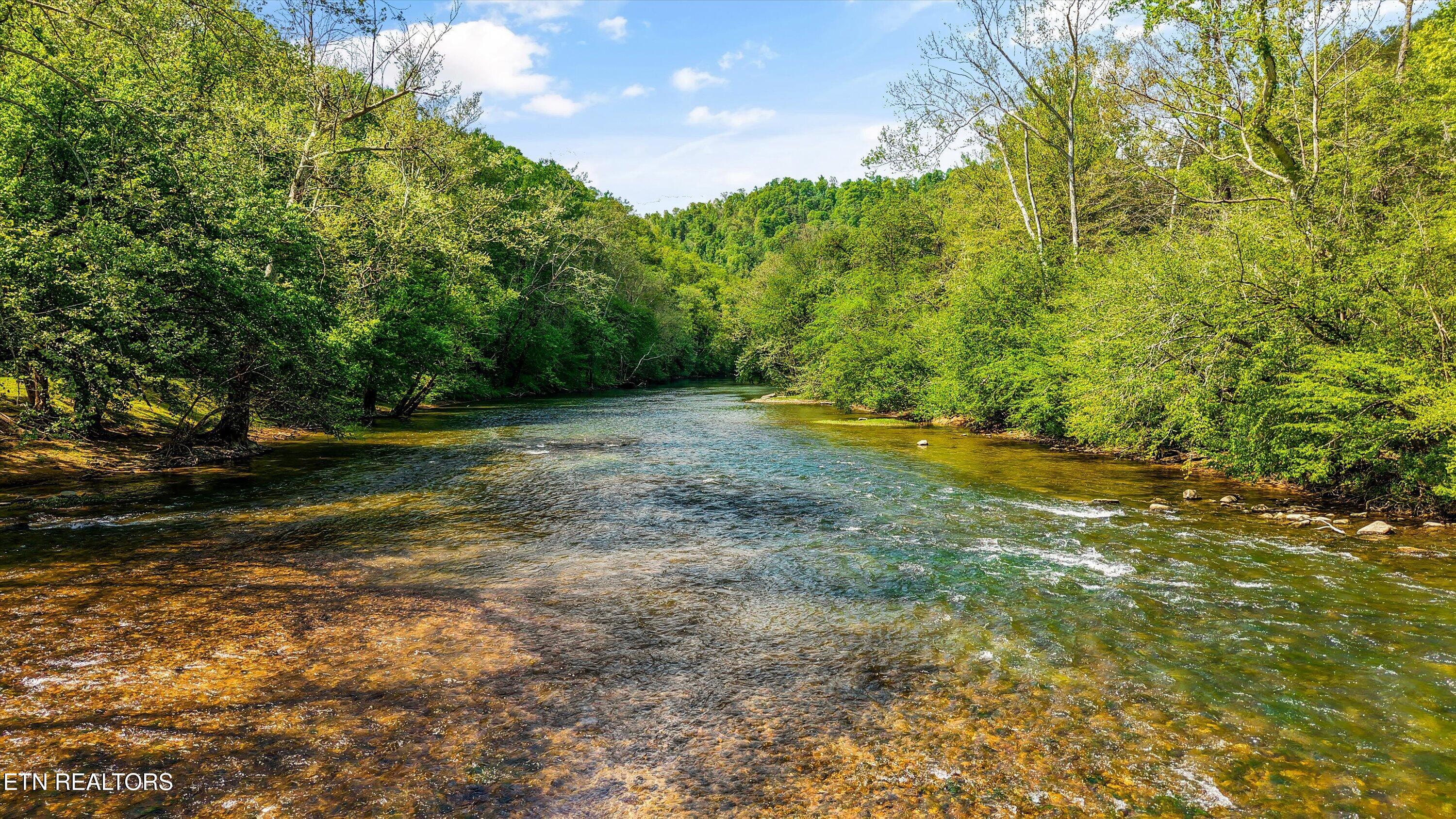 4151 Cave Springs Road Tazewell TN 37879