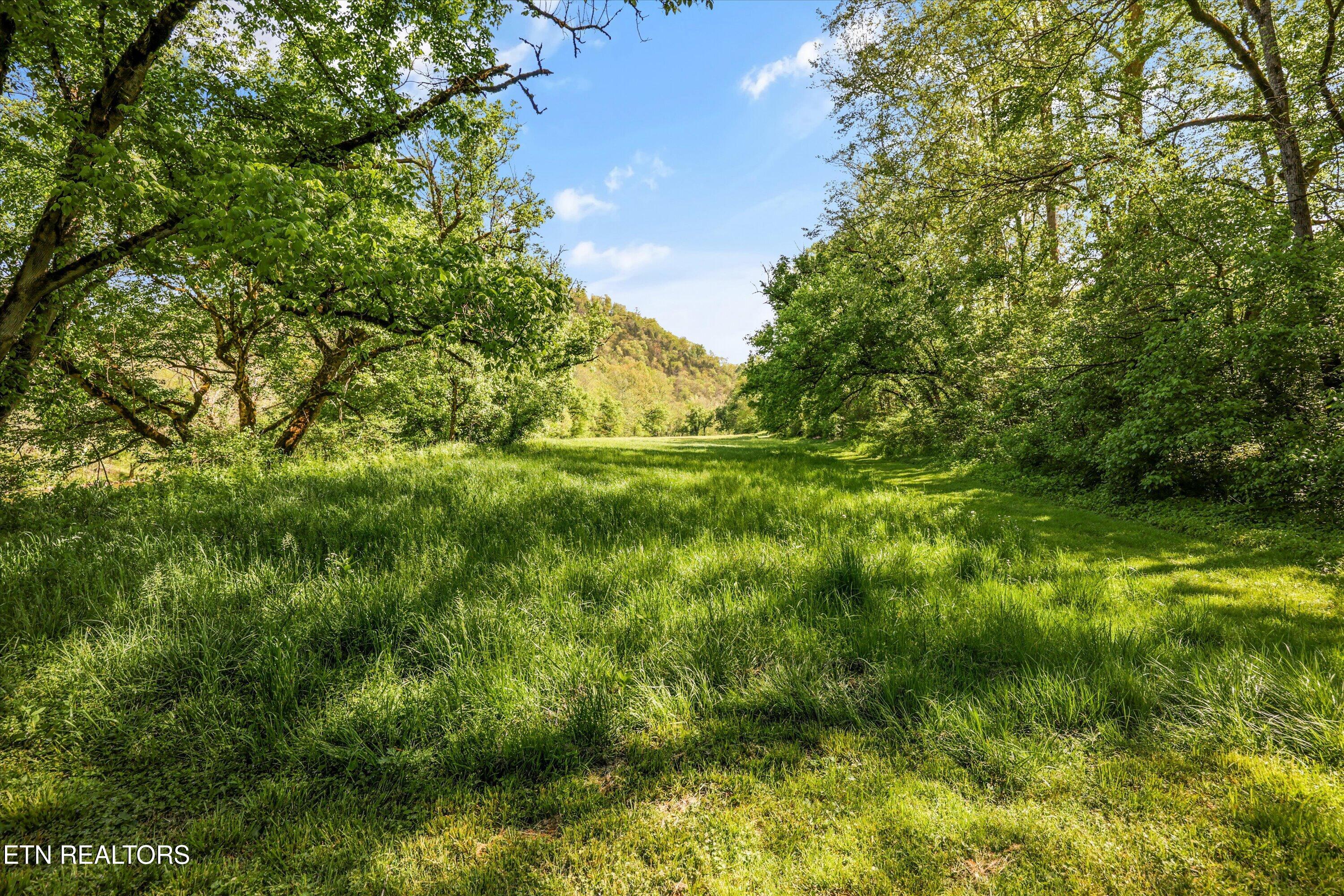 4151 Cave Springs Road Tazewell TN 37879
