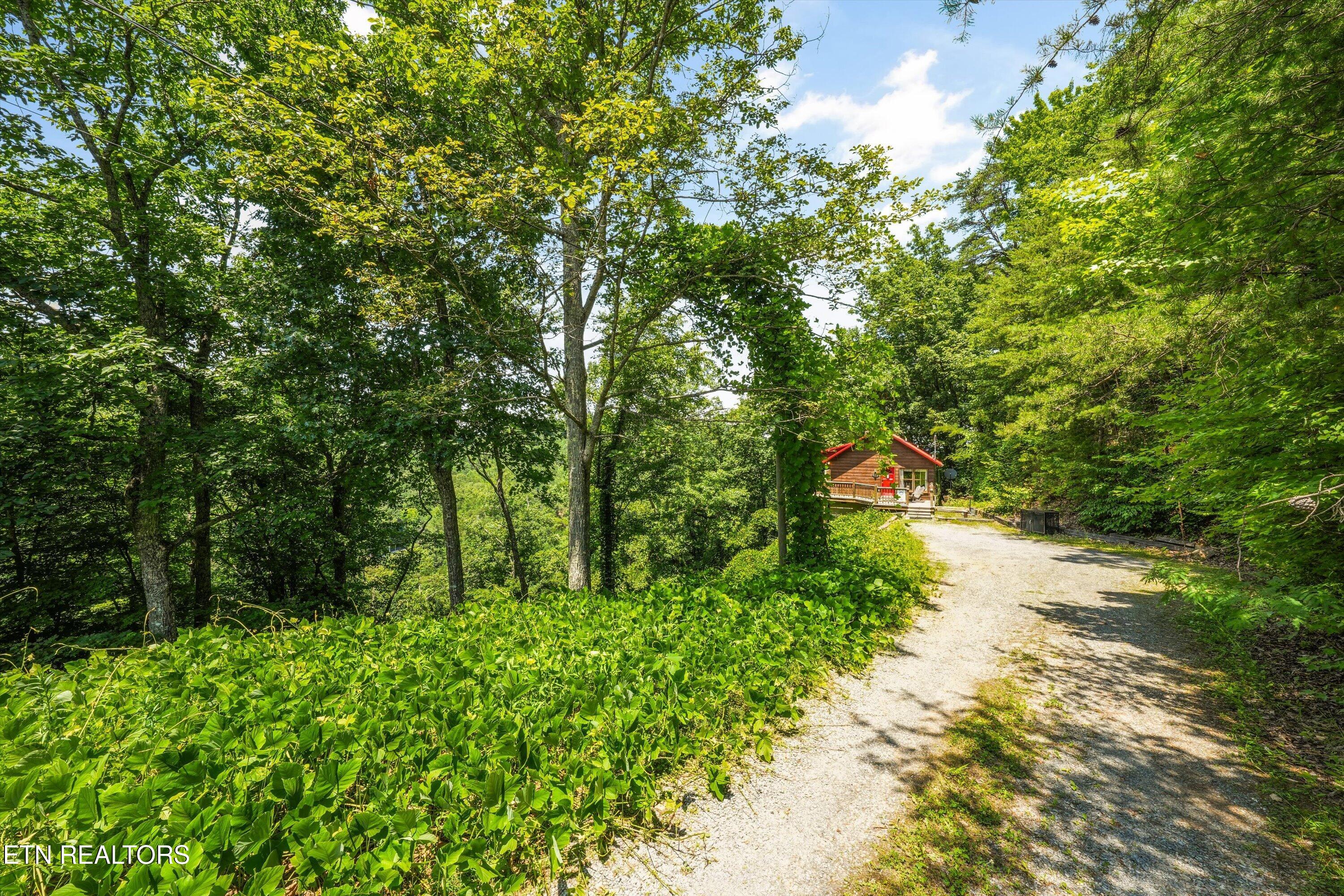 4403 New Pioneer Trail Pigeon Forge TN 37863