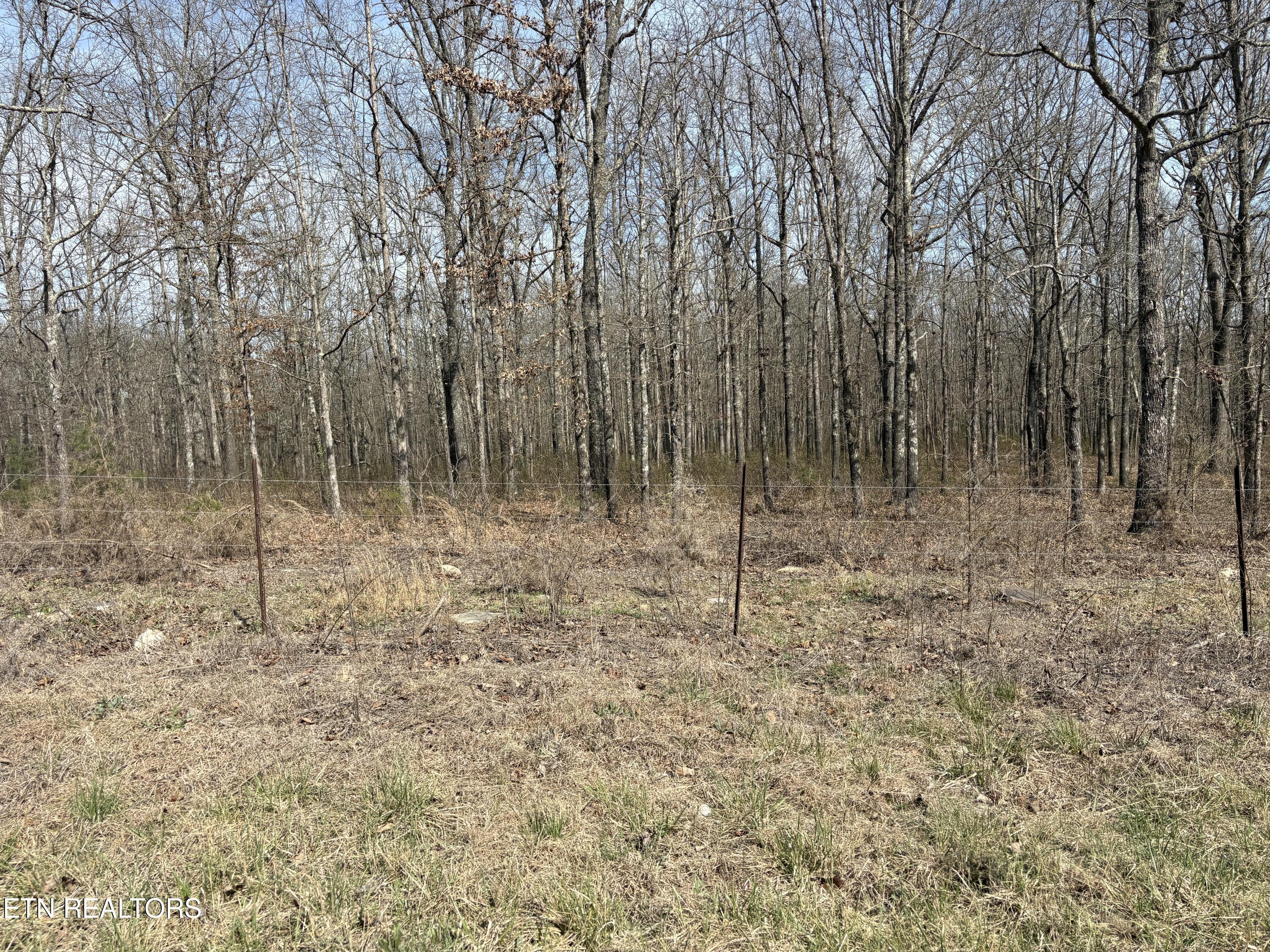 1032 Kendall Smith Road Pikeville TN 37367