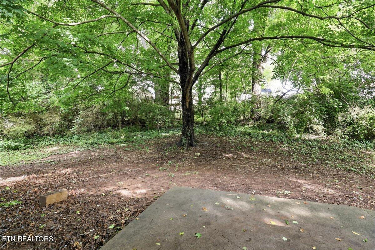 1507 Morningside Avenue Maryville TN 37804