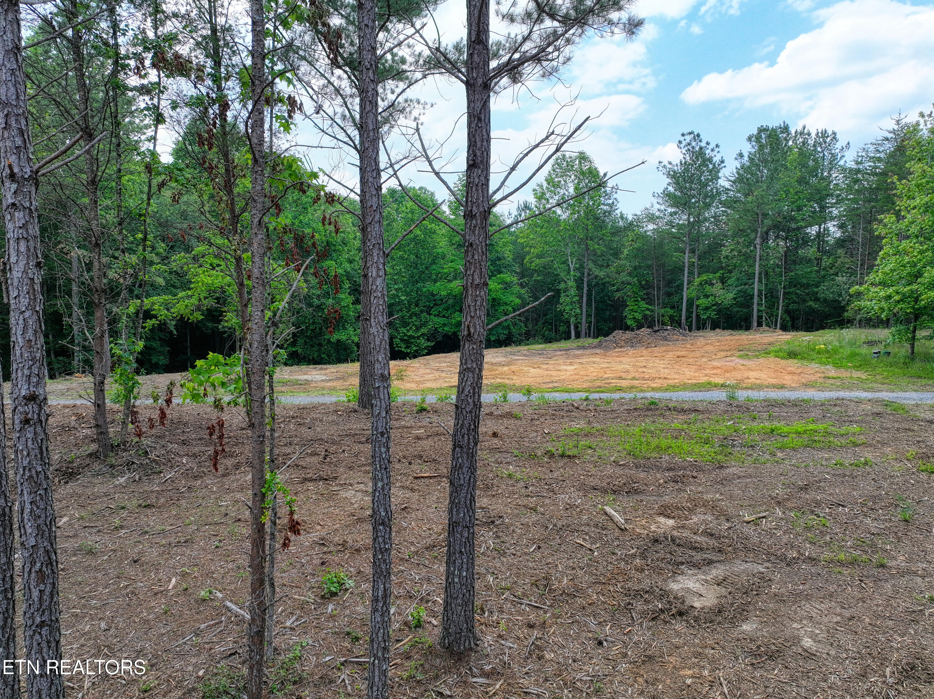 1214 Stanton Road Seymour TN 37865
