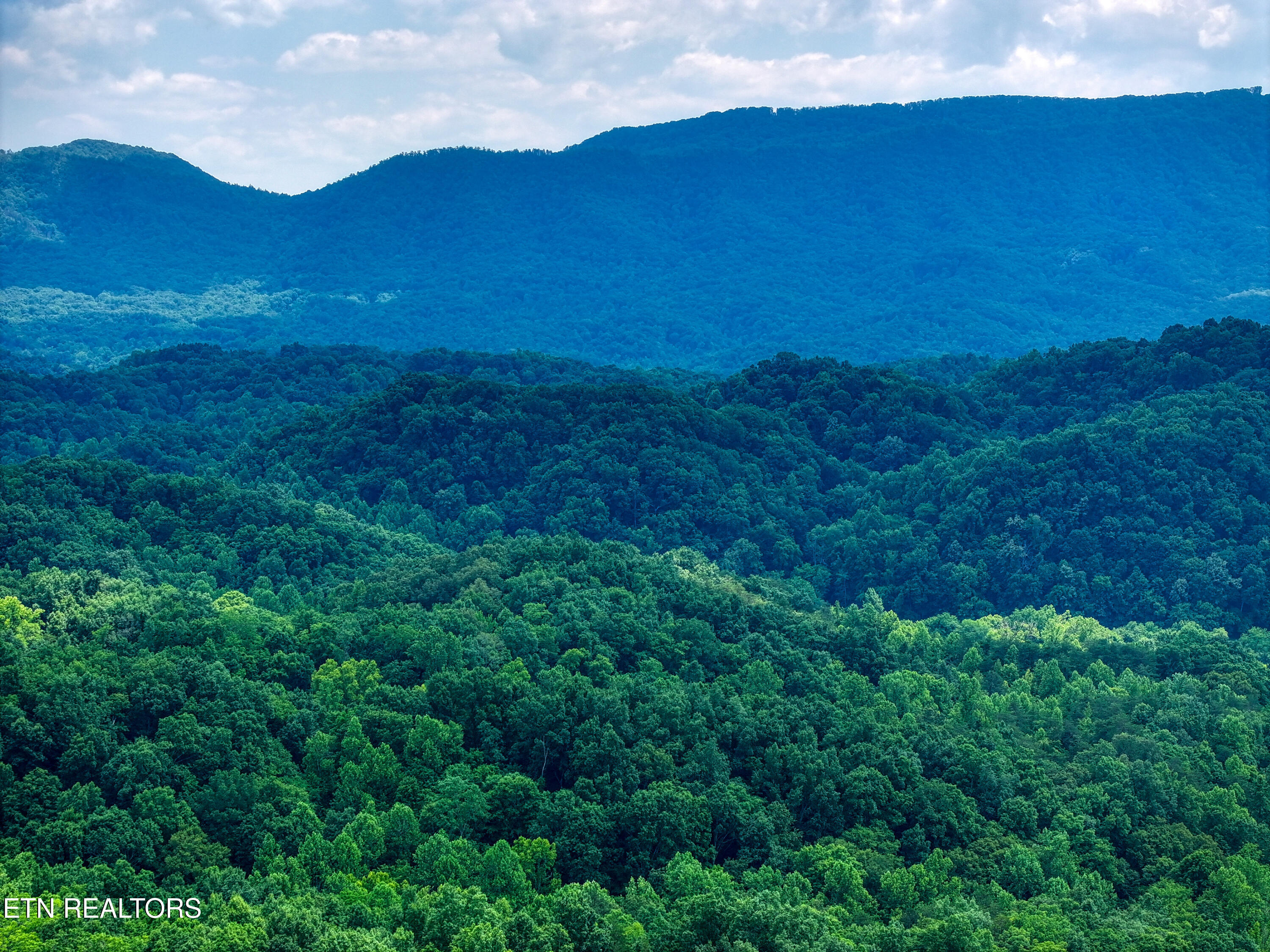 1214 Stanton Road Seymour TN 37865