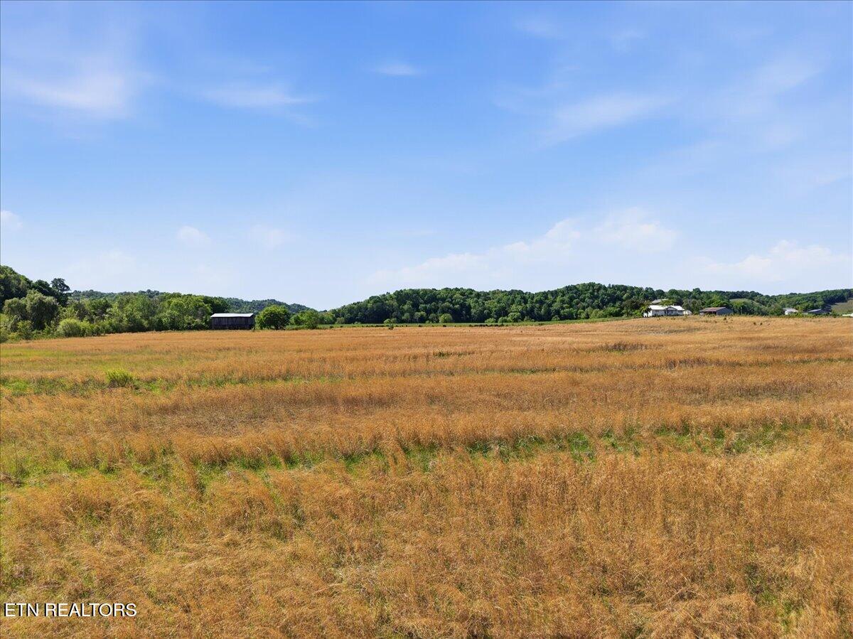 525 Matthews Lane Mosheim TN 37818