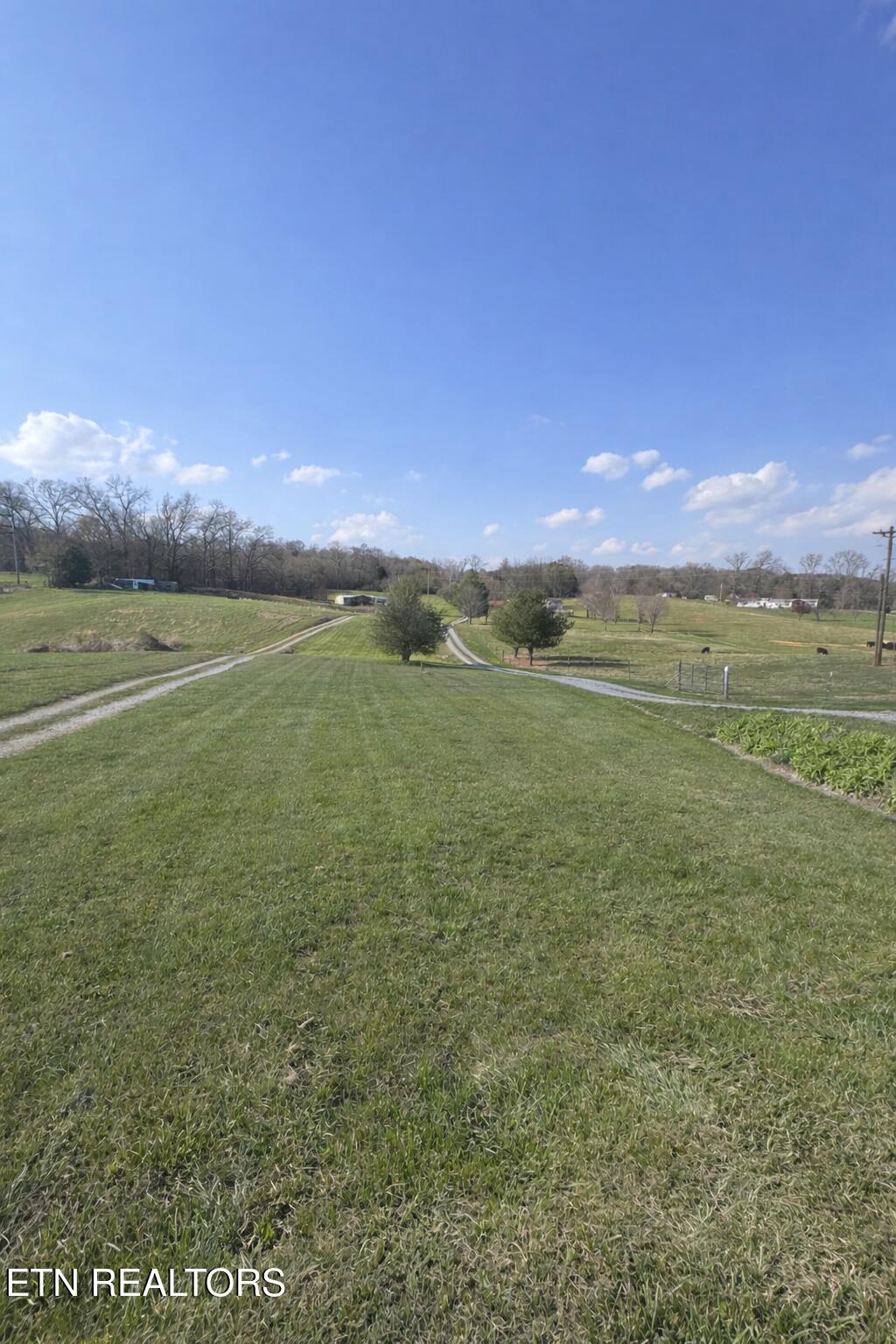 3570 Baker Springs Road White Pine TN 37890