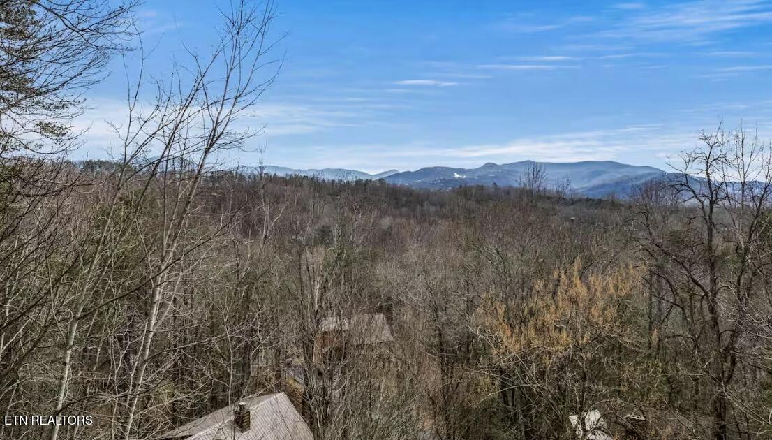 1020 Ski View Lane Sevierville TN 37876