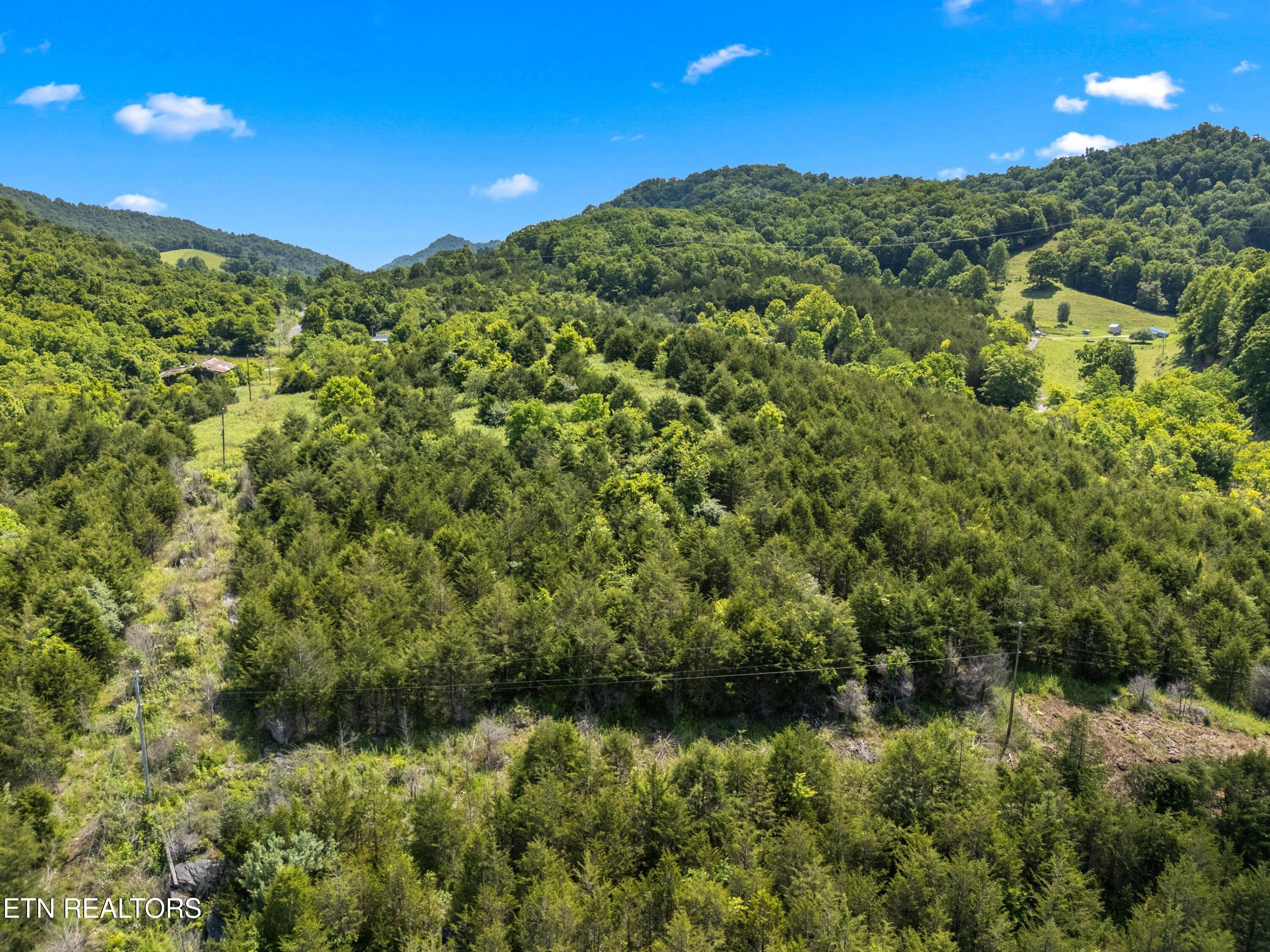 111 Kyle Valley Road Eidson TN 37731