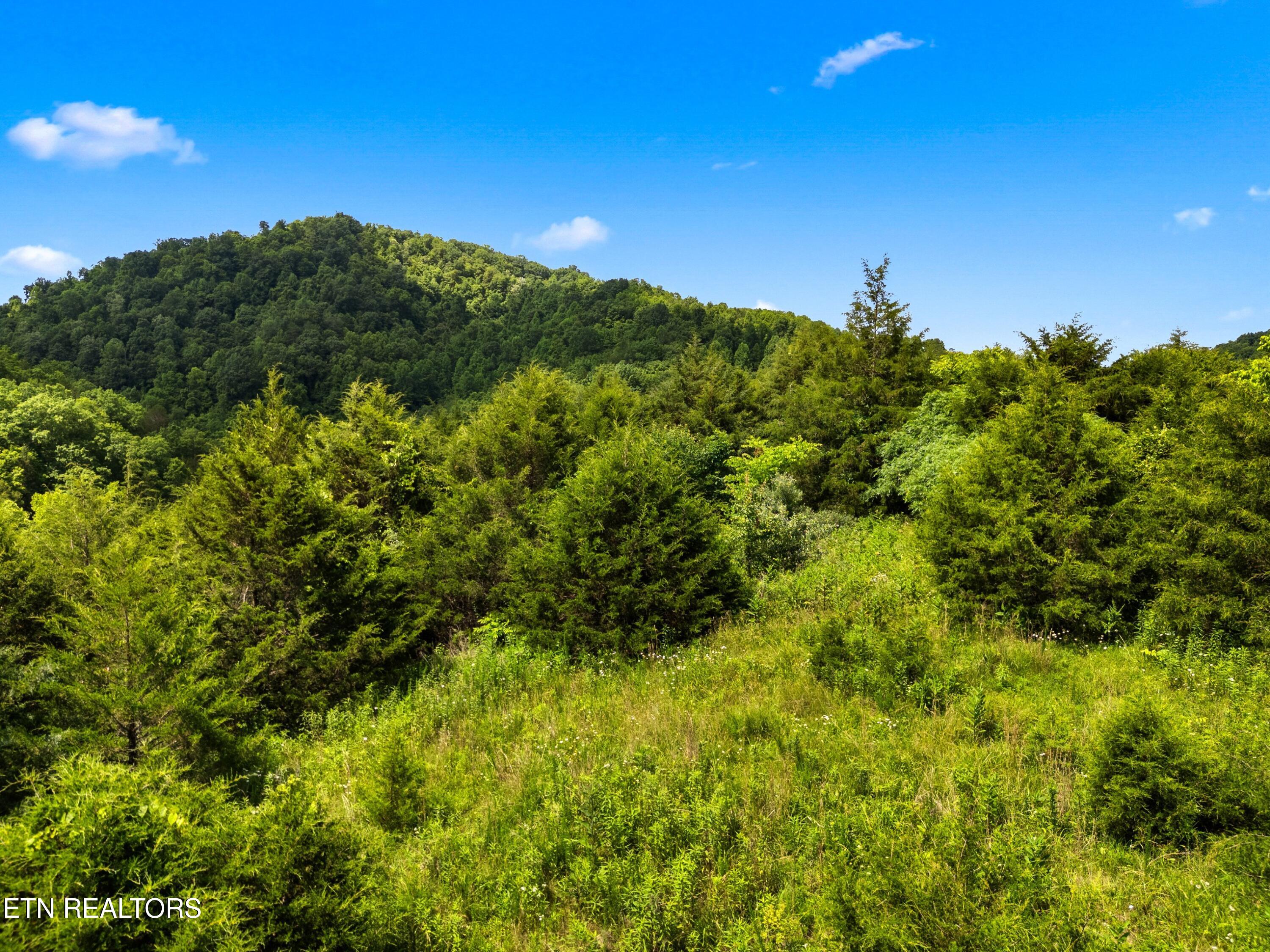 111 Kyle Valley Road Eidson TN 37731