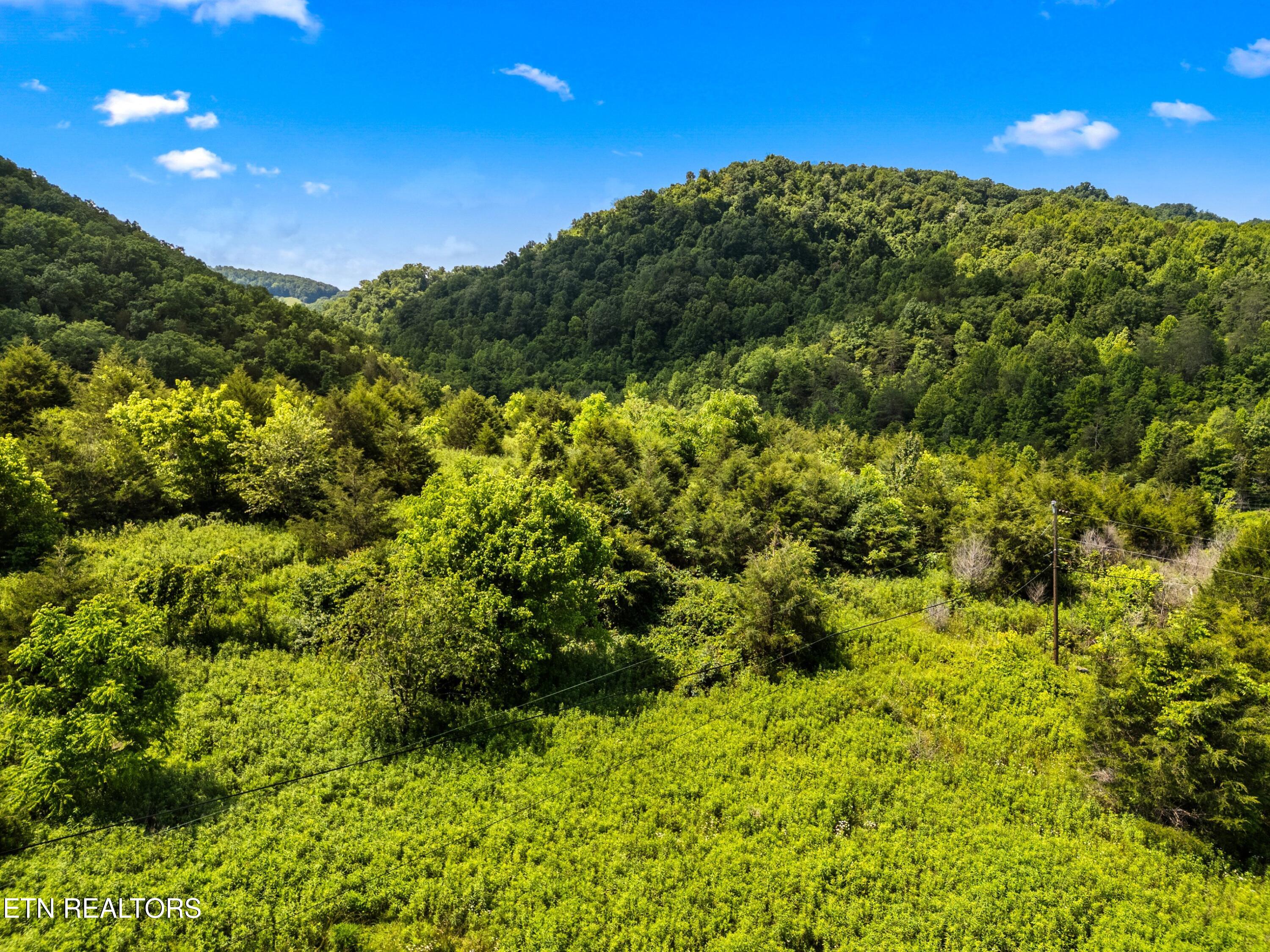 111 Kyle Valley Road Eidson TN 37731