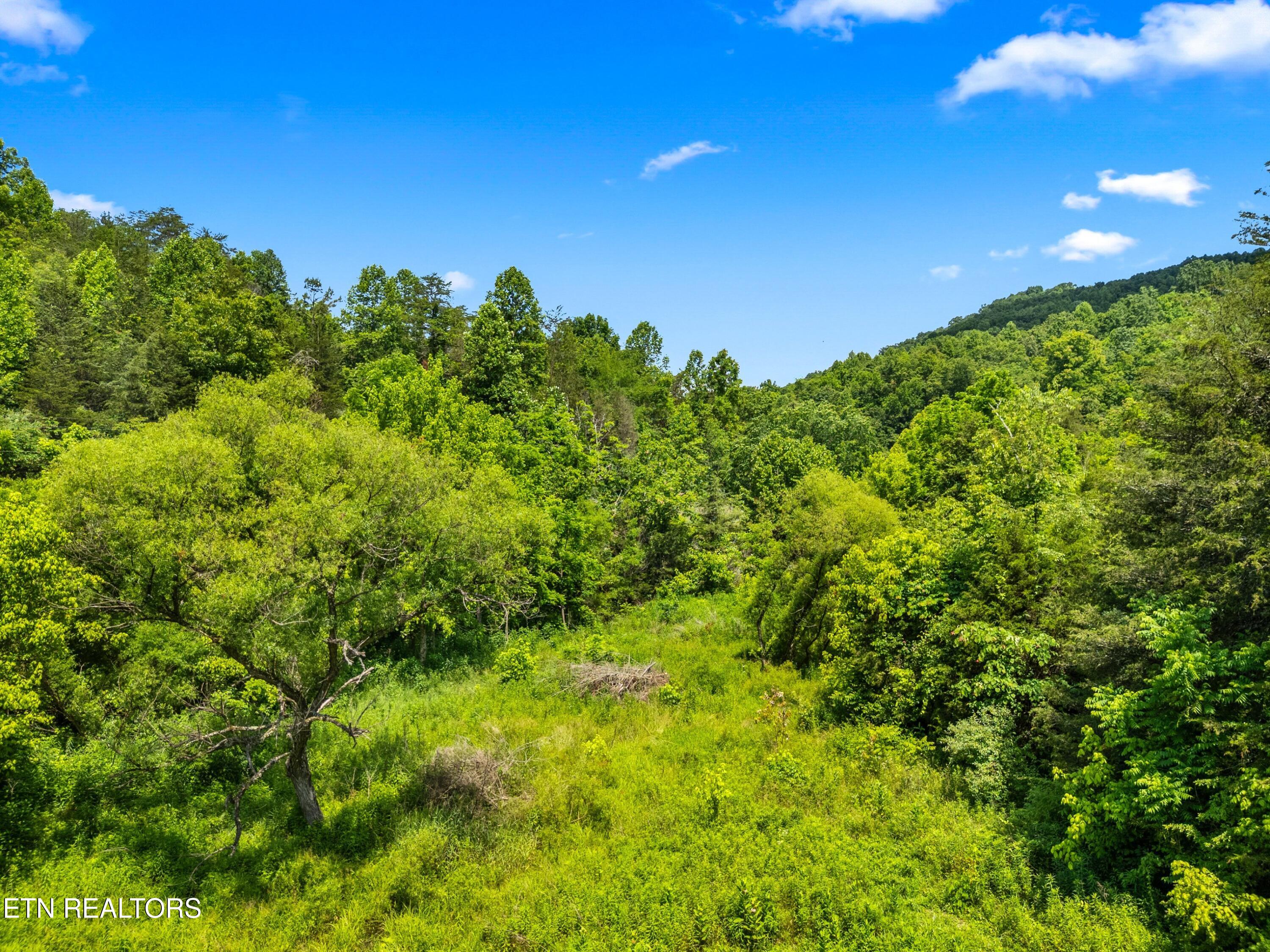 111 Kyle Valley Road Eidson TN 37731