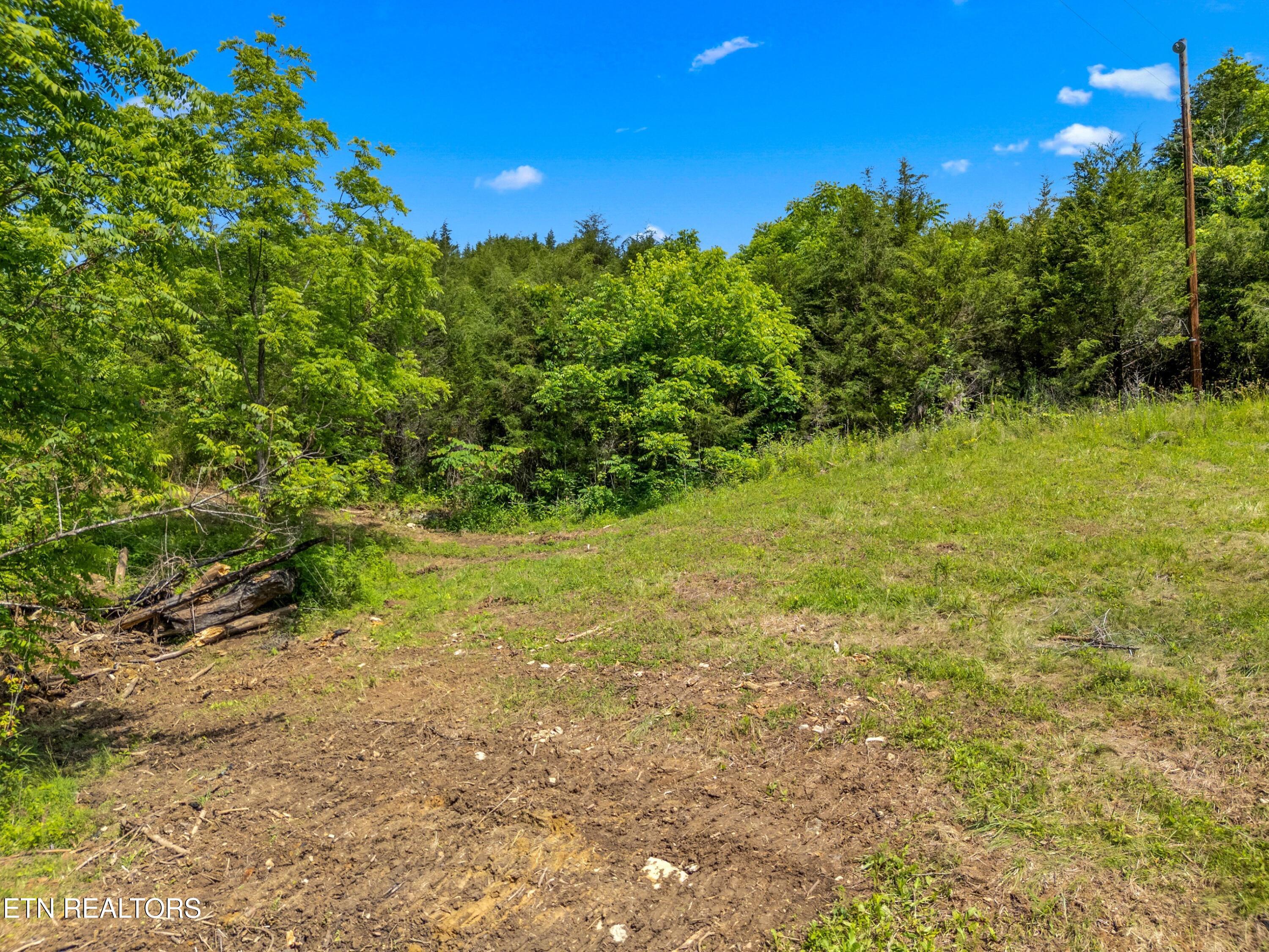 111 Kyle Valley Road Eidson TN 37731